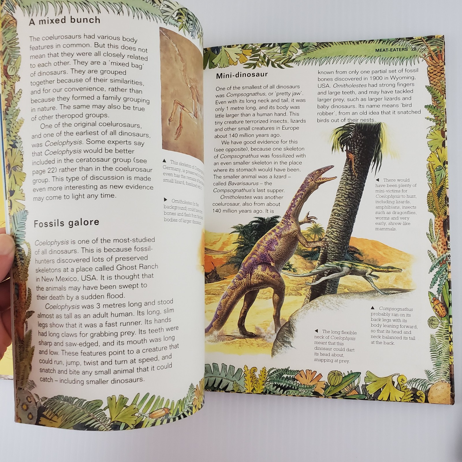 4 Book Lot Dinosaur Story Joanna Cole, Discovering Dinosaurs, Triumph of the…