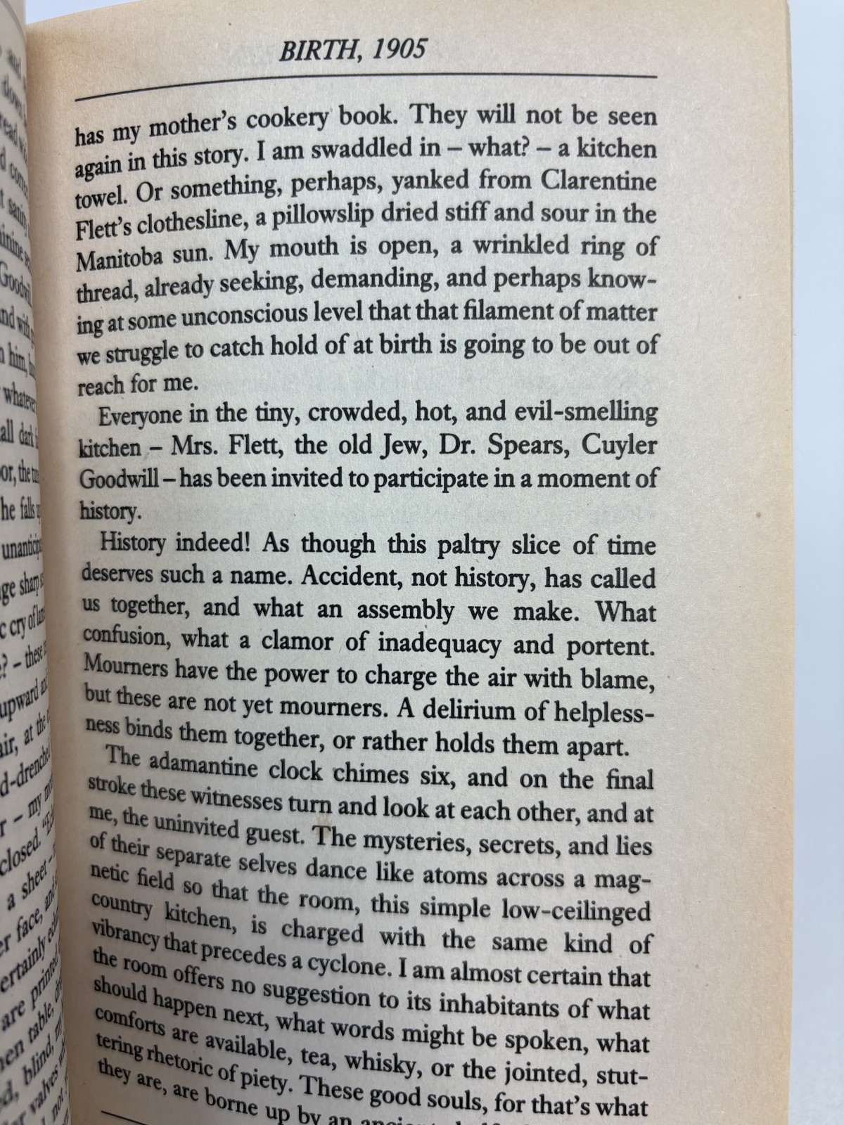 The Stone Diaries By Carol Shields