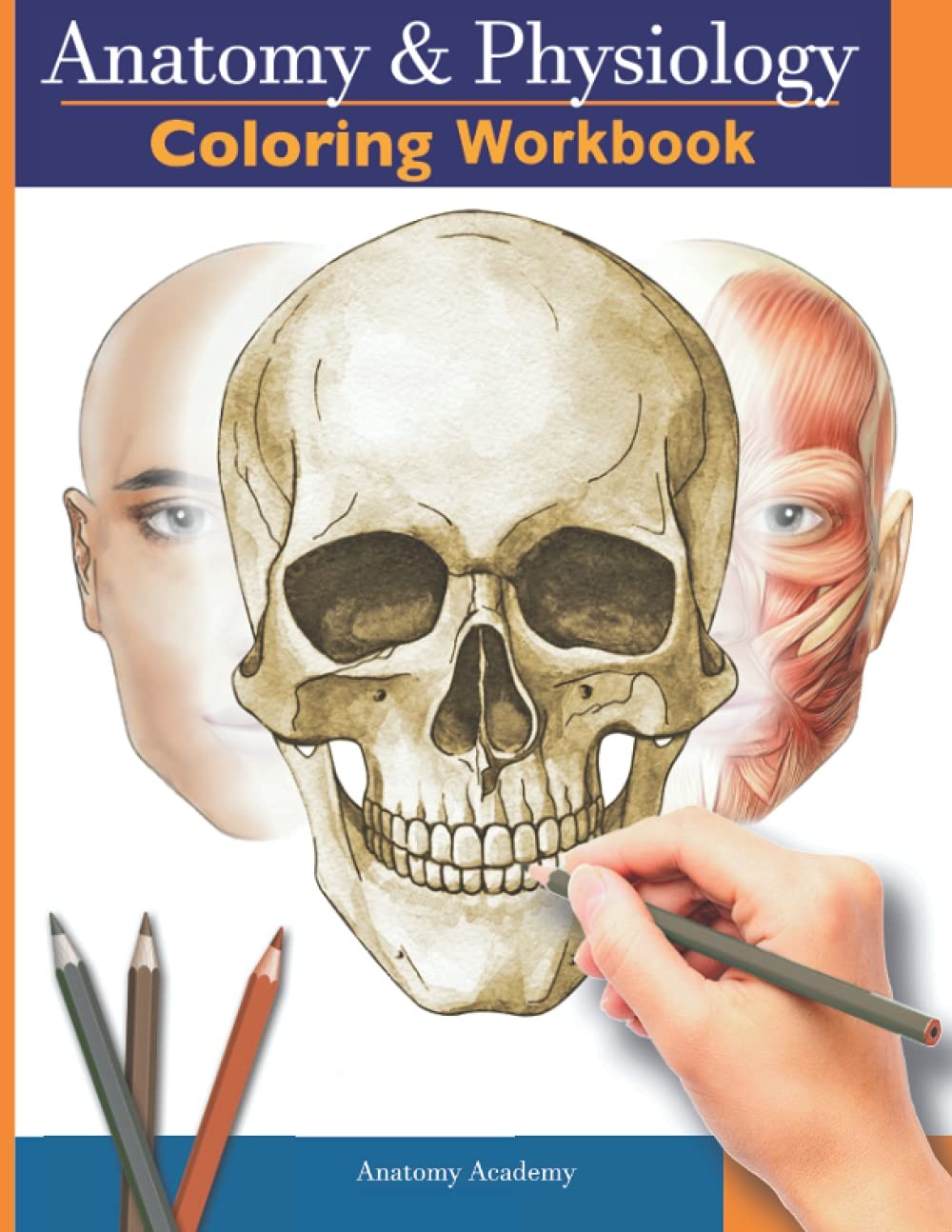 Anatomy and Physiology Coloring Workbook: The Essential College Level Study …