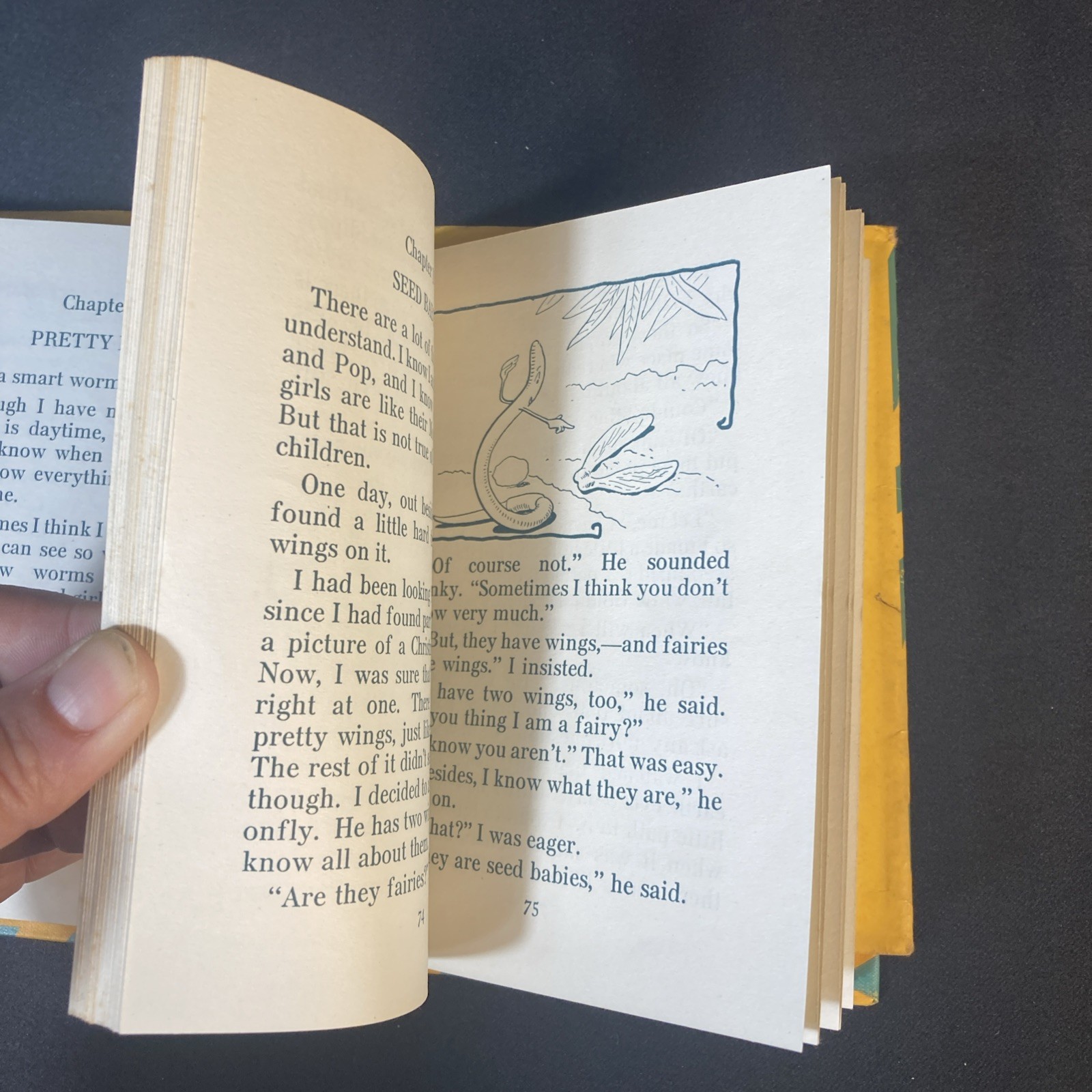 1949 The Fun Biography of Willie the Worm, Lou D Greenlee ~ Fun Nature Series
