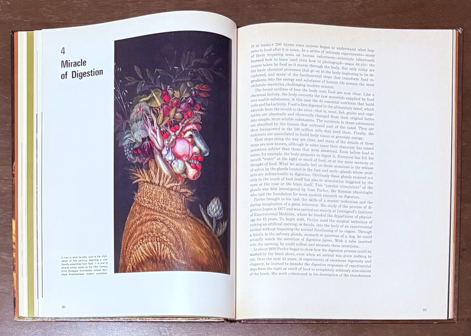 Food & Nutrition by Sebrell Jr & Haggerty, Time Life Science Library. Great Info