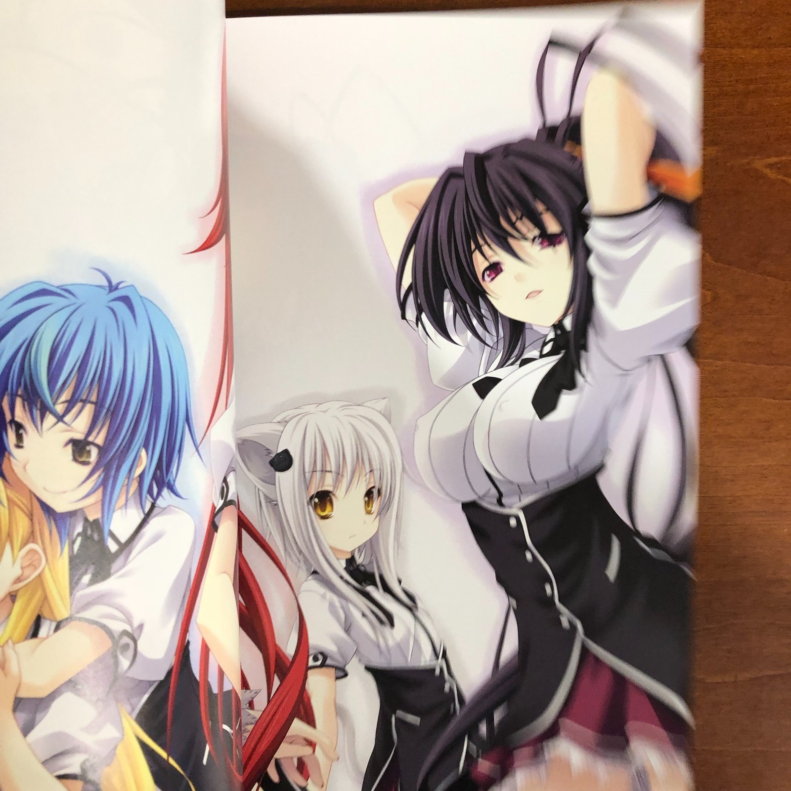 High School DxD Art Book Miyama Zero Art Works Illustration