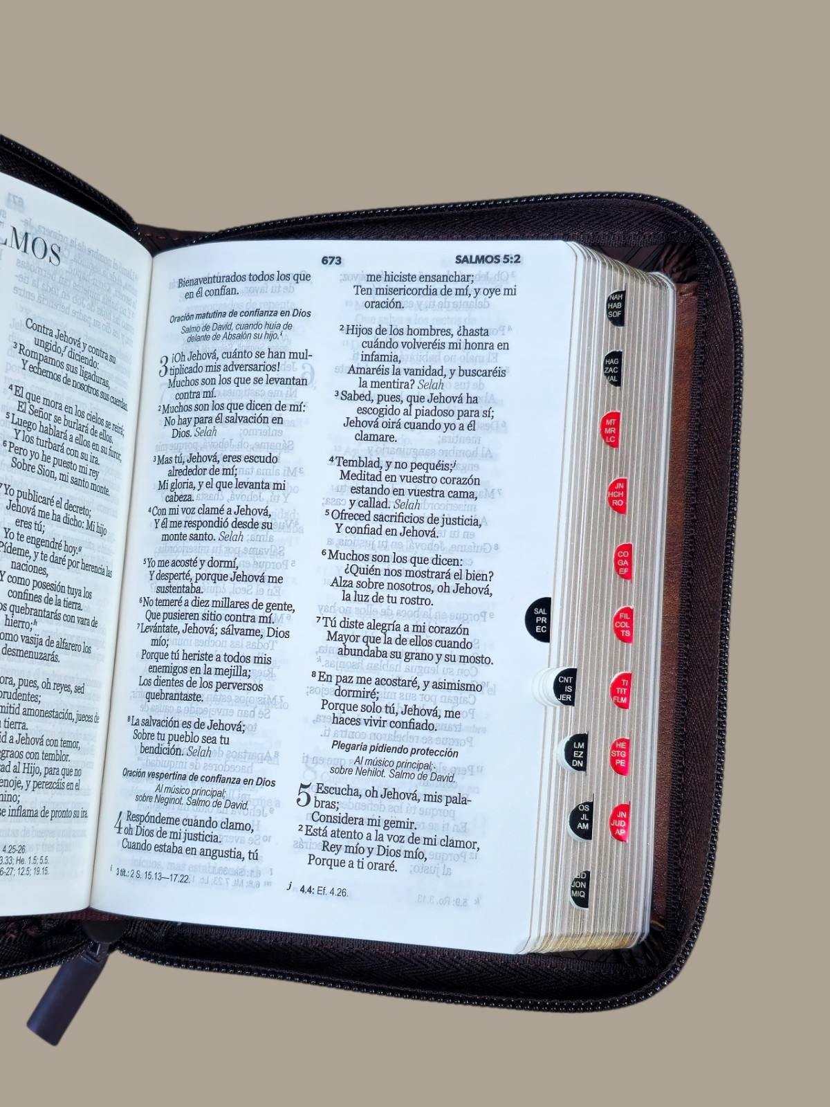 BIBLIA DE BOLSILLO REINA VALERA 1960 CON Cierre DUOTONO CAFÉ CON ÍNDICE
