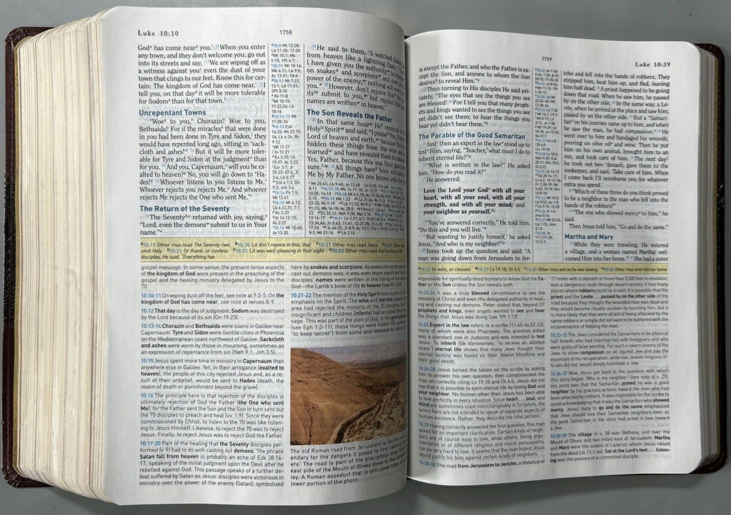 HCSB Study Bible Mahogany Duotone Simulated Leather Clean Text G+ USA Print
