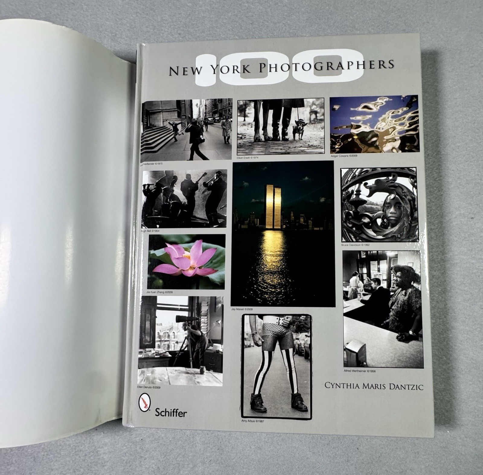 100 New York Photographers by Cynthia Maris Dantzic (2009, Hardcover)