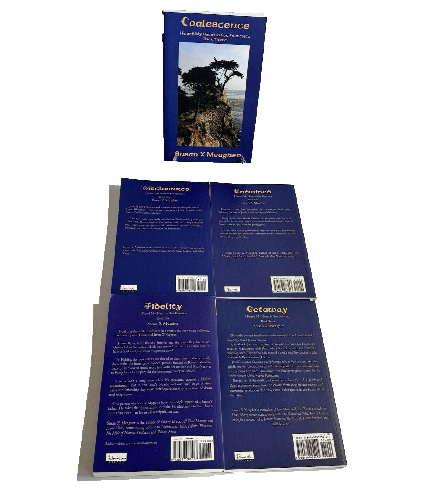 Rare 5 x I Left My Heart In San Francisco Book Series 3 4 5 6 7 Susan X Meagher