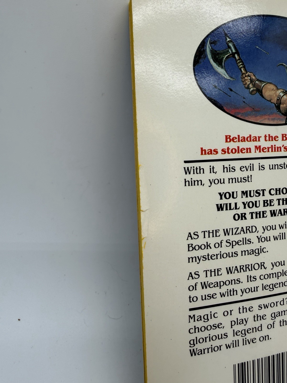 Wizards Warriors & You Book 12 Scarlet Shield of Shalimar CYOA 1986 Paperback