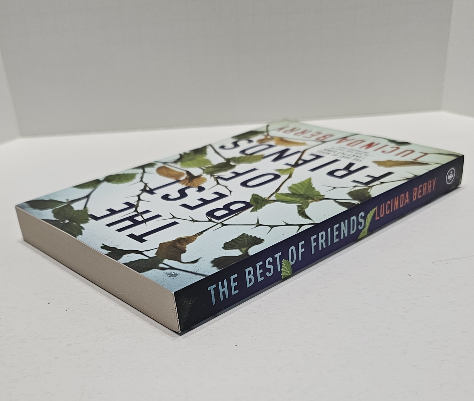 Best of Friends by Lucinda Berry (2020, Trade Paperback) BRAND NEW