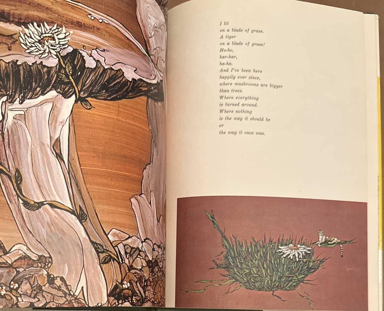 Tiger Flower by Robert Vavra Illustrated by Fleur Cowles 1968 HC/DJ First UK ED