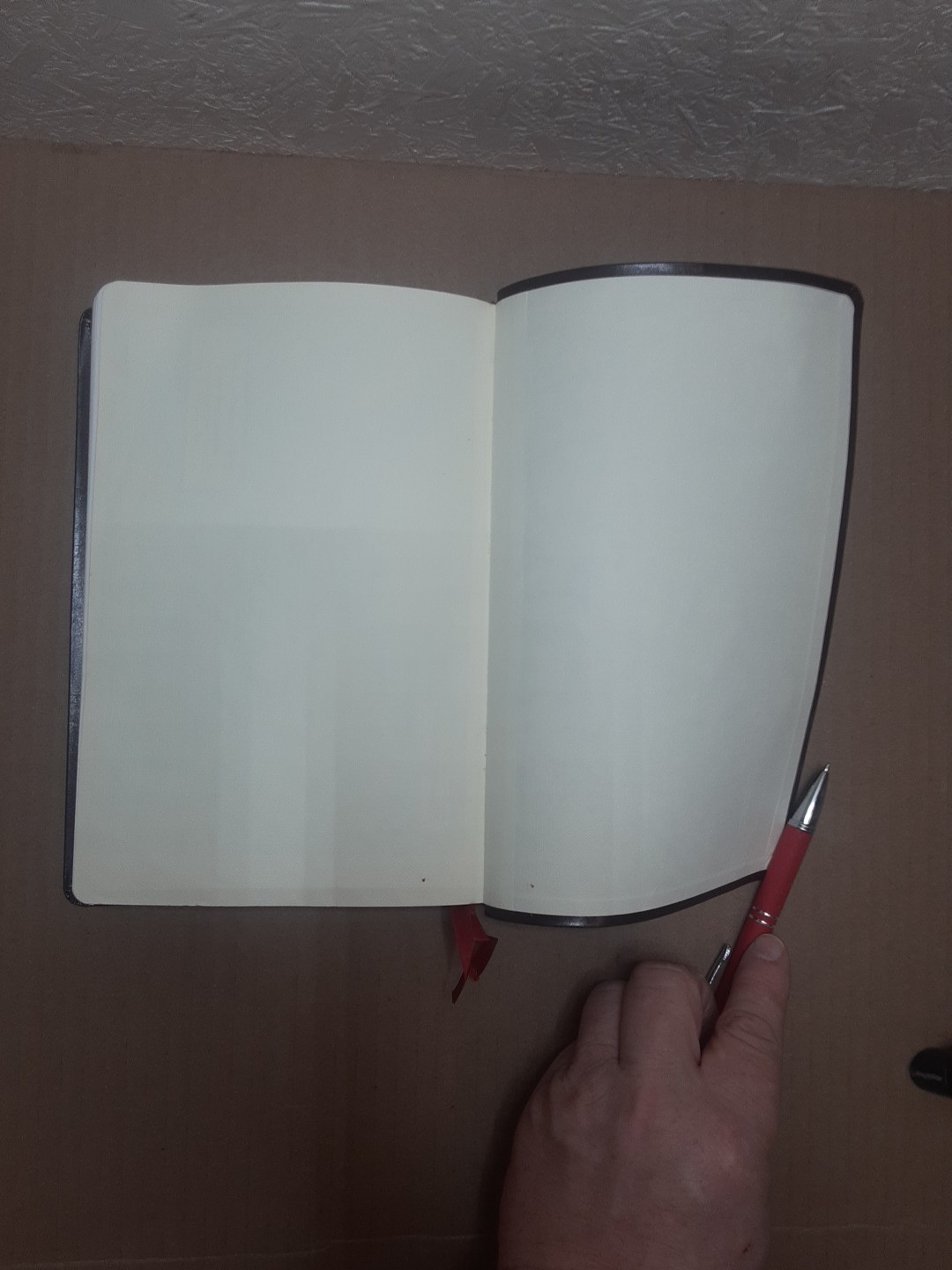 The Holy Bible Ignatius Press RSV2CE Leather Bound Catholic Bible