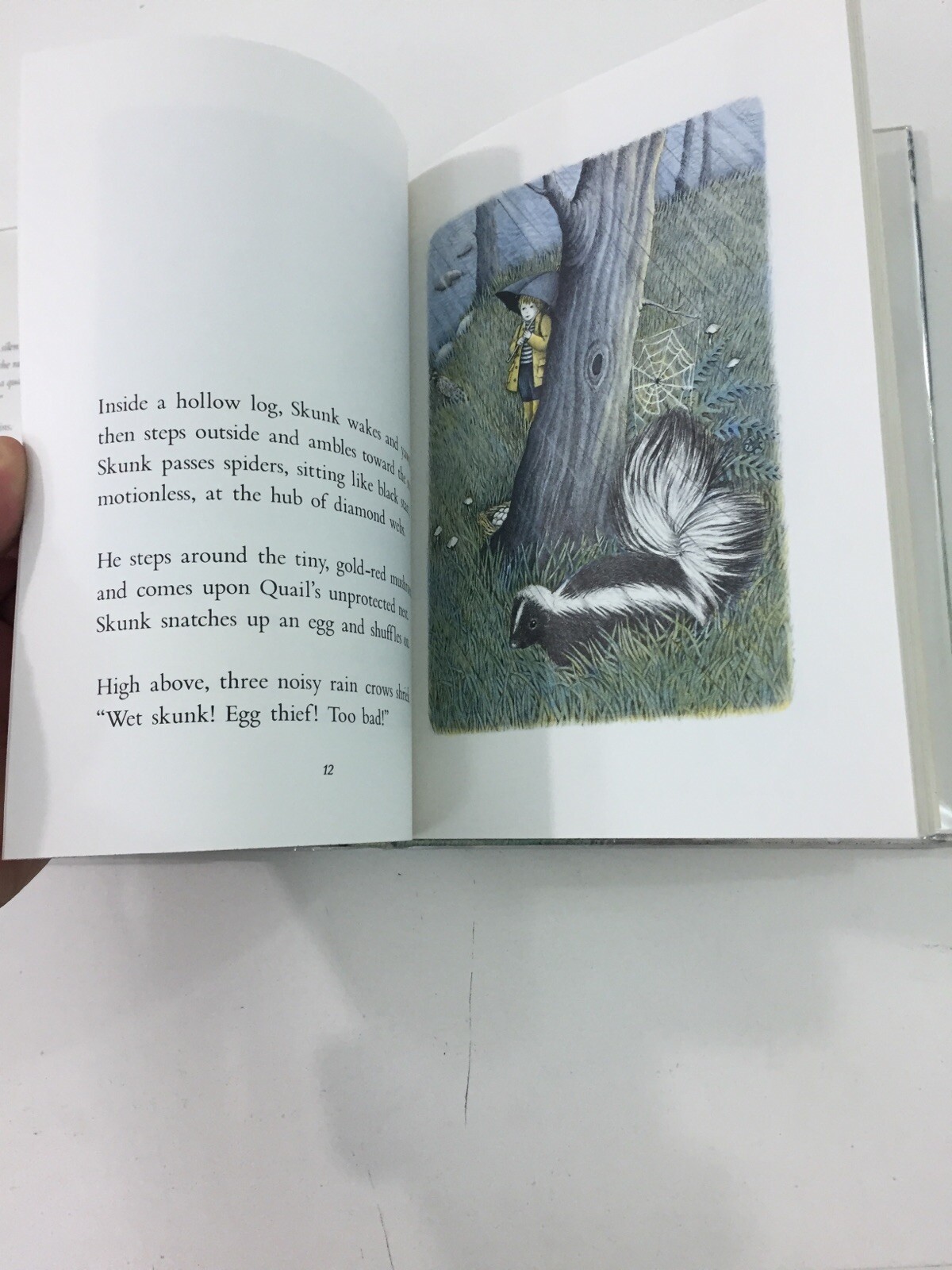 All Wet! All Wet! – James Skofield (Hardcover, 1984, Dust Jacket, 1st Edition)