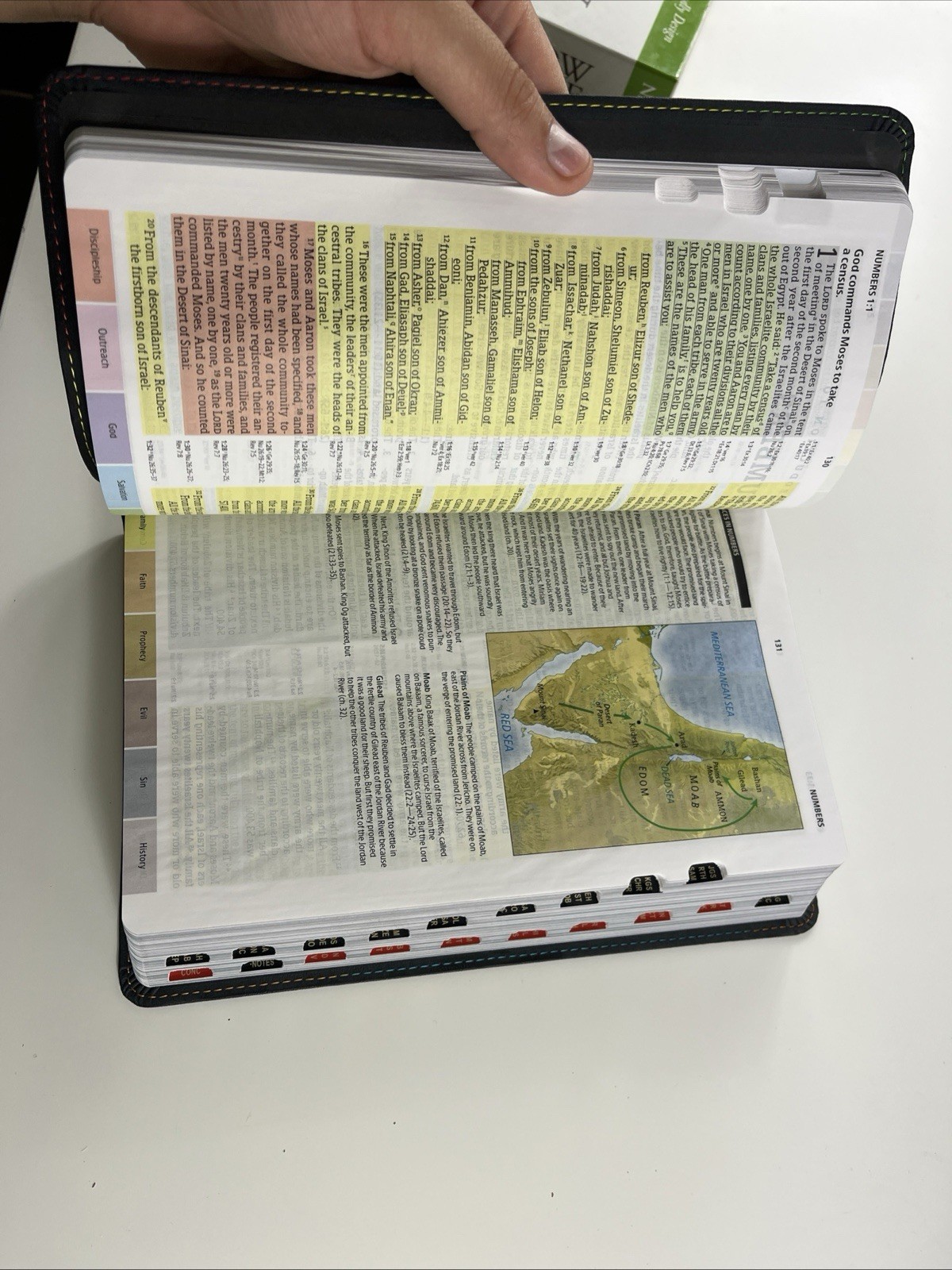 Holman Rainbow Study Bible NIV Edition: LeatherTouch Pierced Cross 2015