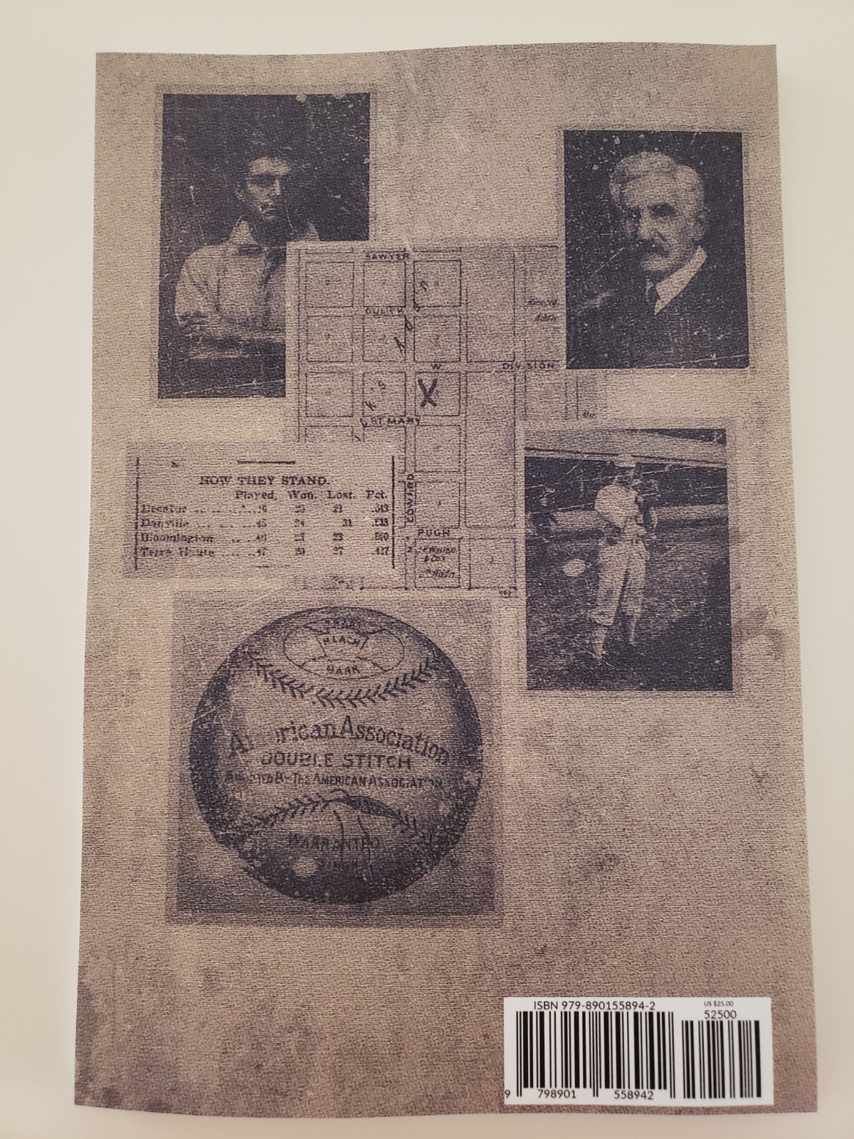 Champions, Founders, Cons & Thieves: Baseball Adventures in Decatur 1866-1900