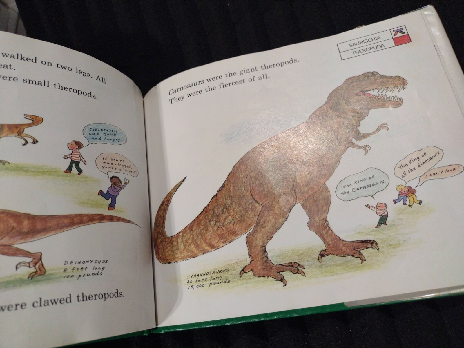 Let’s-Read-and-Find-Out-Science Ser.: Dinosaurs Are Different by Aliki (1985,…