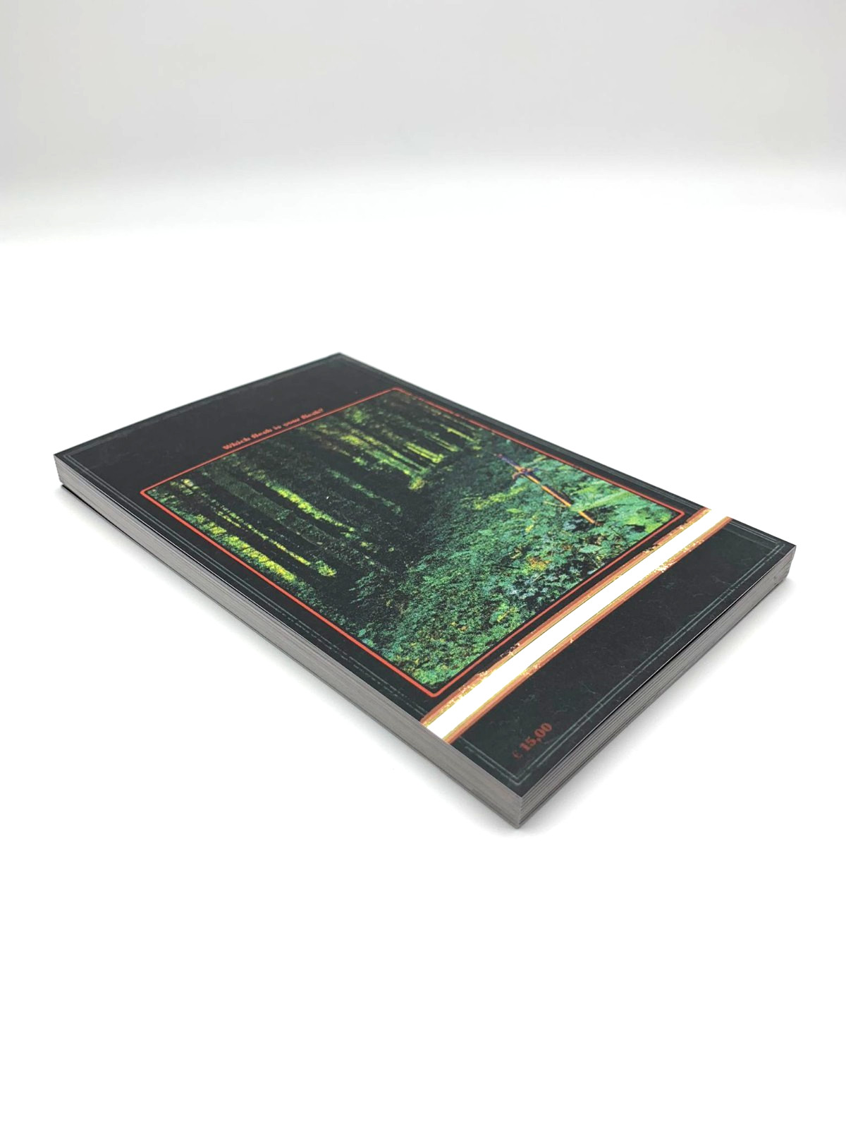 Vermis I: lost dungeons and forbidden woods Paperback Art Book | Plastiboo | UK