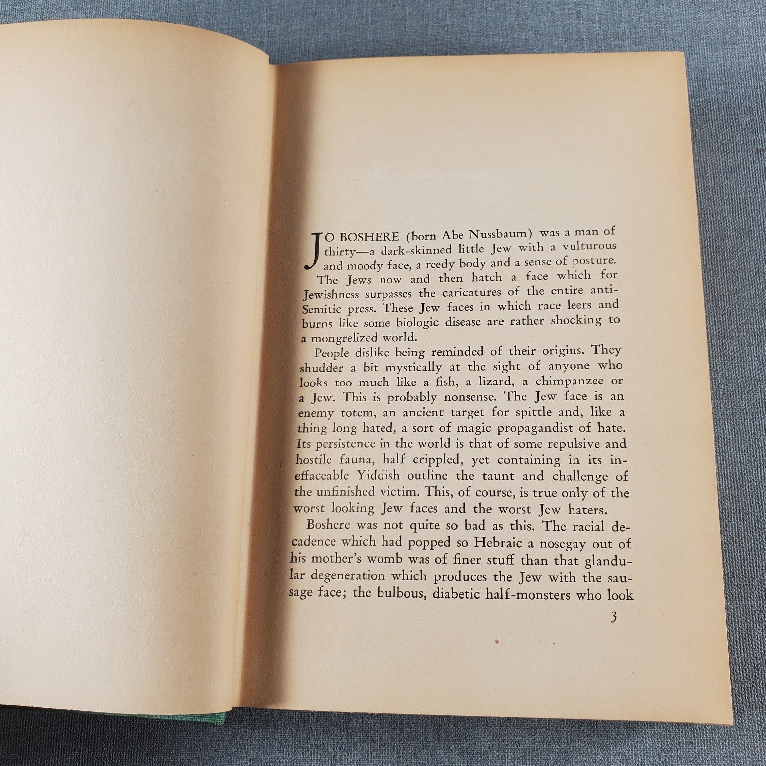 A Jew in Love Ben Hecht 1938 Eighth Edition Triangle Books
