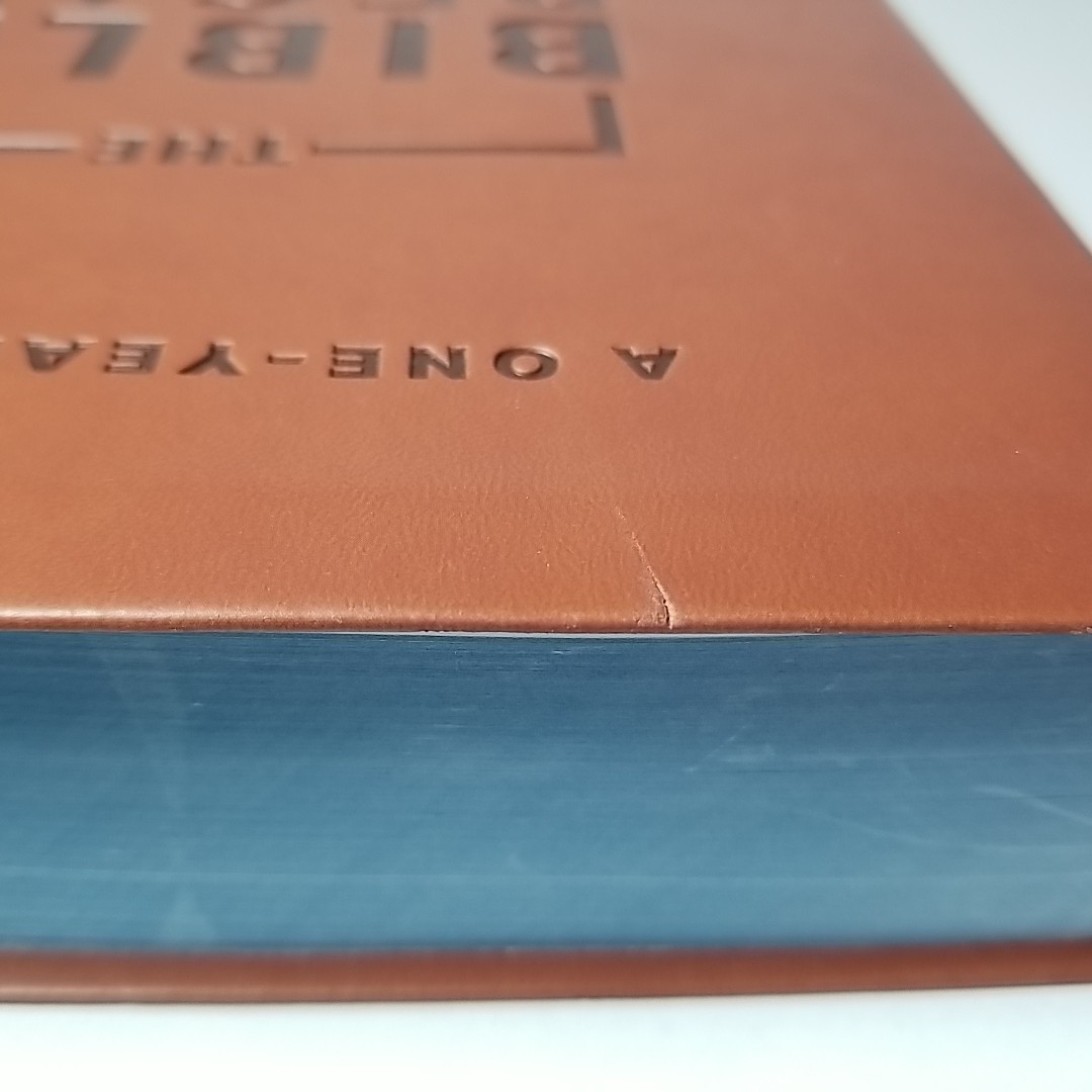 The Bible Recap Deluxe Edition: A One-Year Guide – Tara Leigh Cobble – Bethany