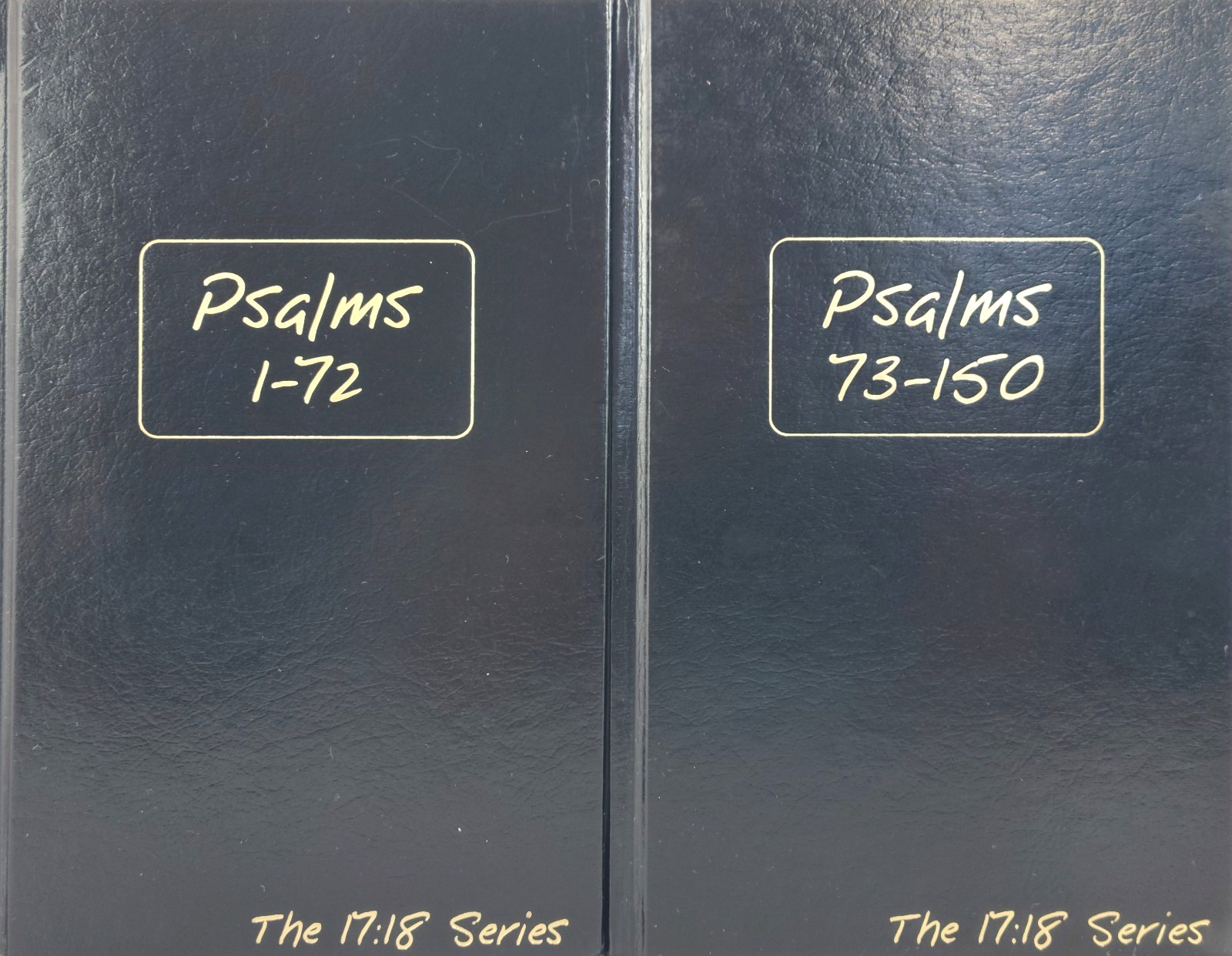 Psalms 2 Vol Set Journible The 17:18 Series Rob Wynalda Hardcover Bible Journal