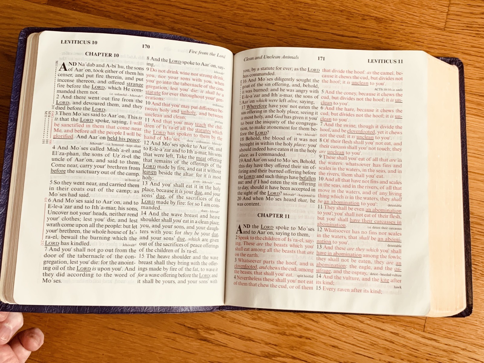 Word of God KJV Easy Reading Red Letter Large Print Special Margin Edition 2002