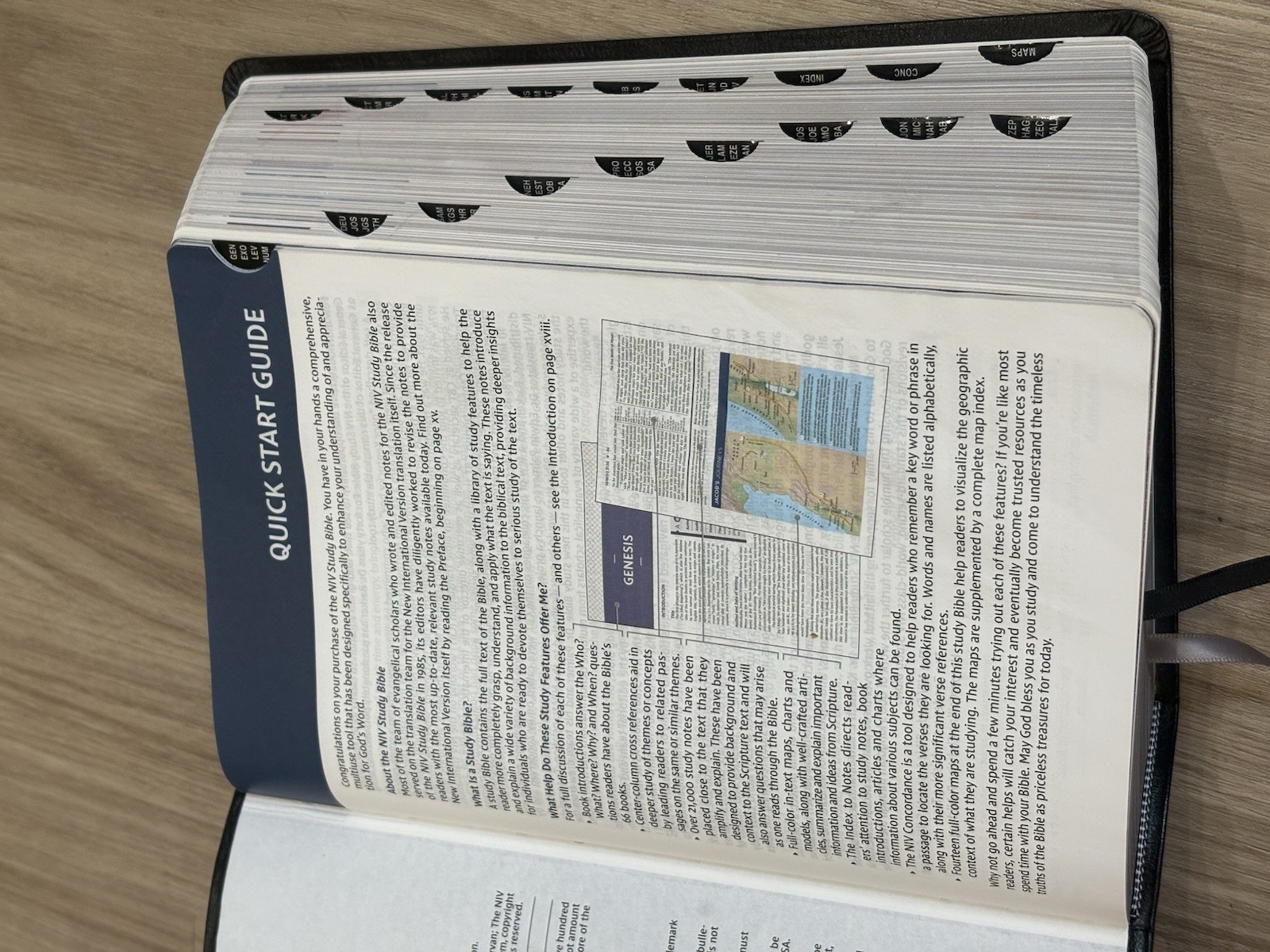 NIV New International Version Study Bible Black Leather Zondervan 2020