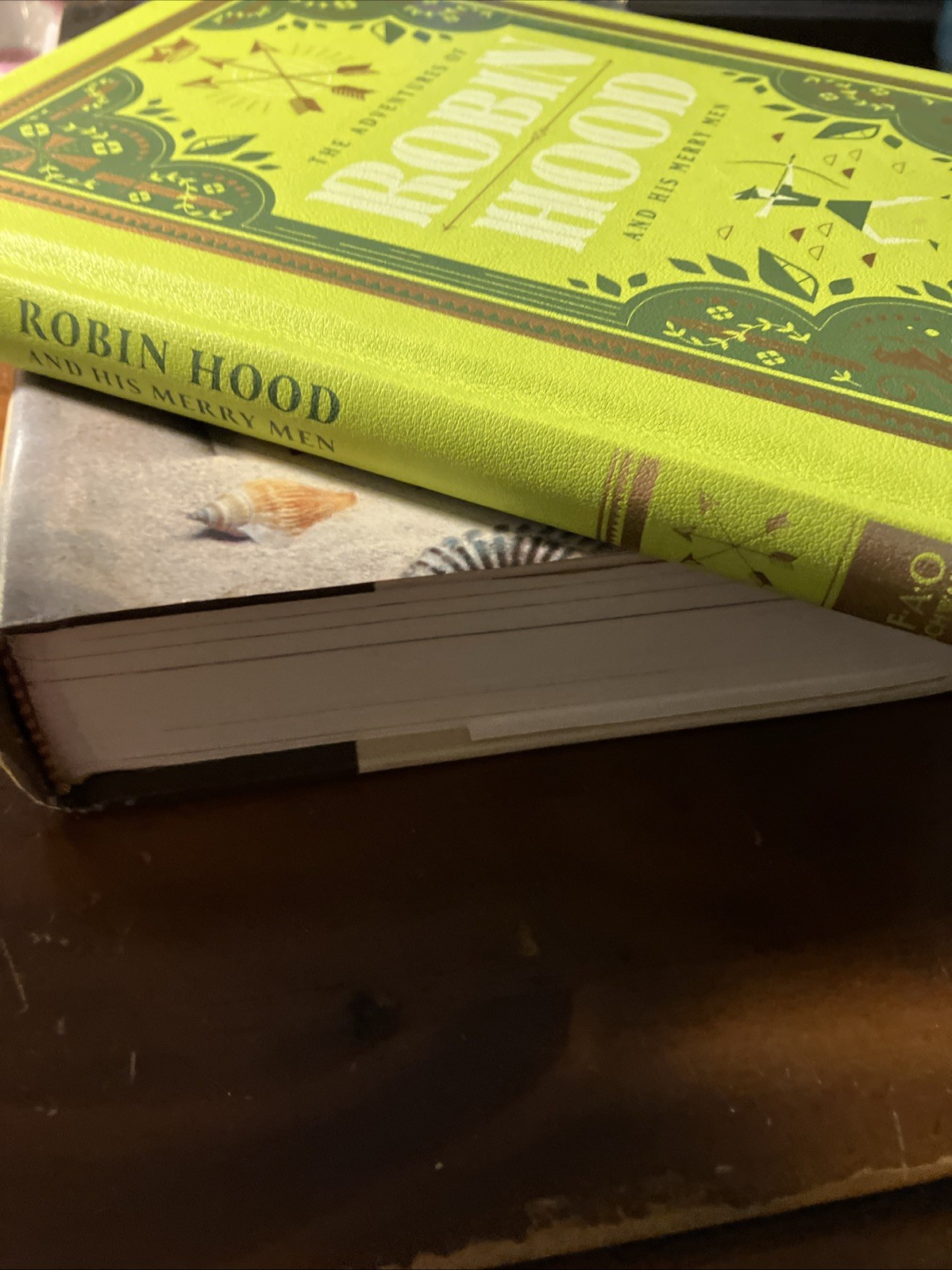 Adventures of Robin Hood by Howard Pyle (2020, Hardcover) 158 Pages