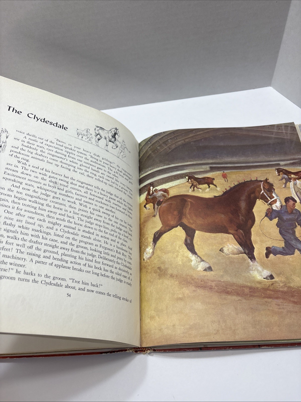 Album of Horses By Marguerite Henry, 1964, Illustr. By Wesley Dennis; HC, CB