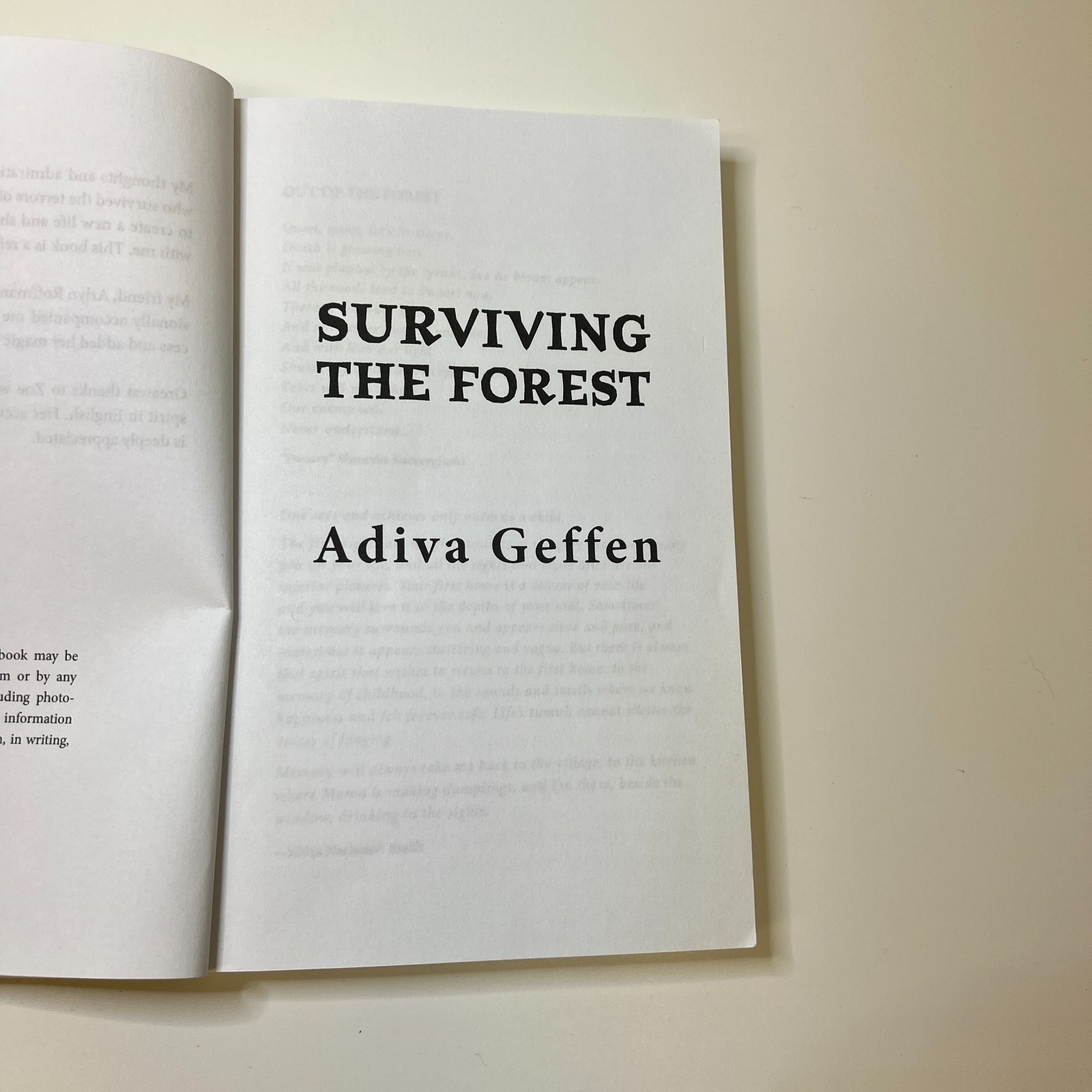 Surviving The Forest (A WW2 Historical Novel) by Adiva Geffen