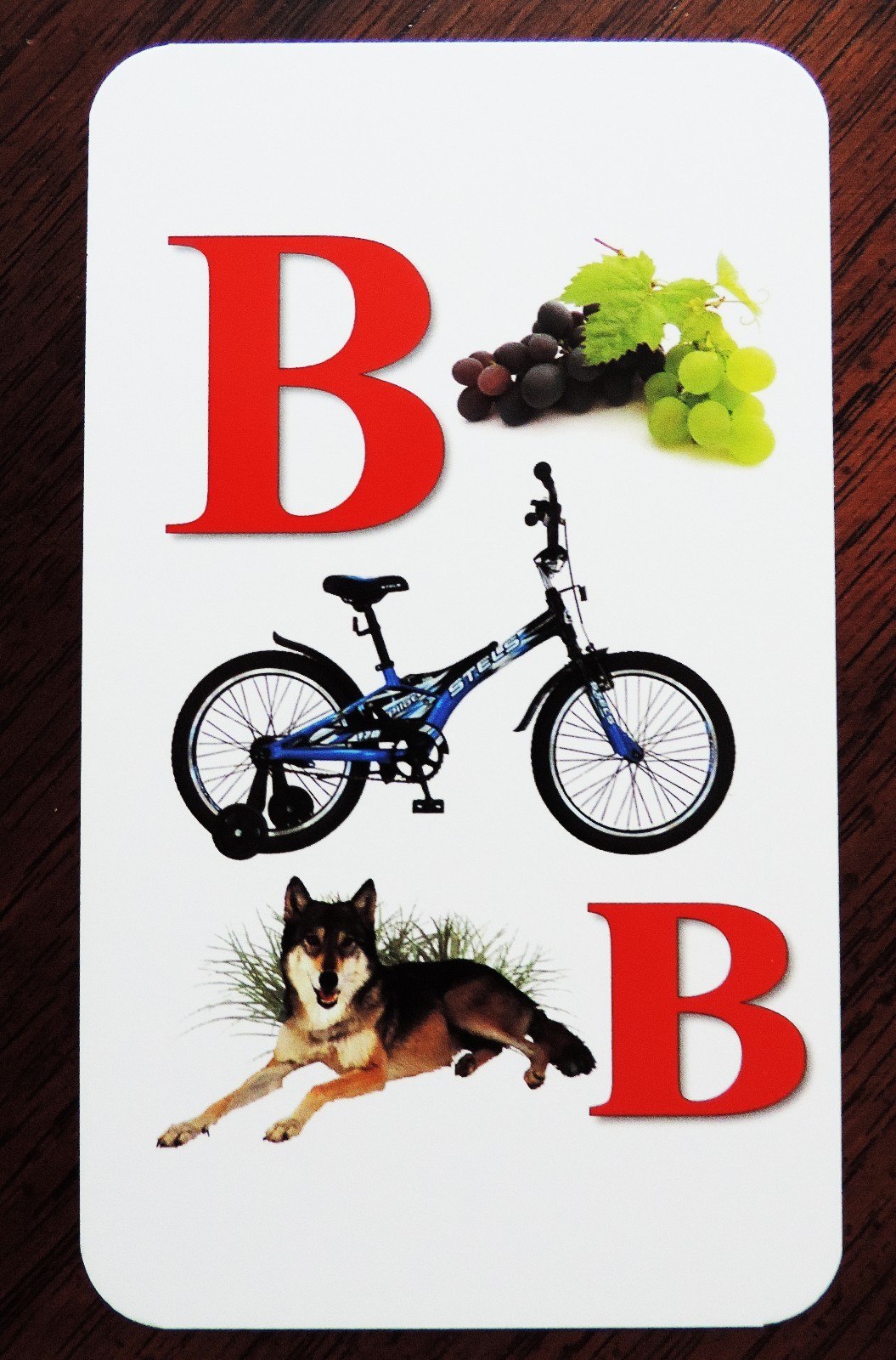 Russian Alphabet for Kids Learning Letters and Pronunciation Flash Cards Set 1