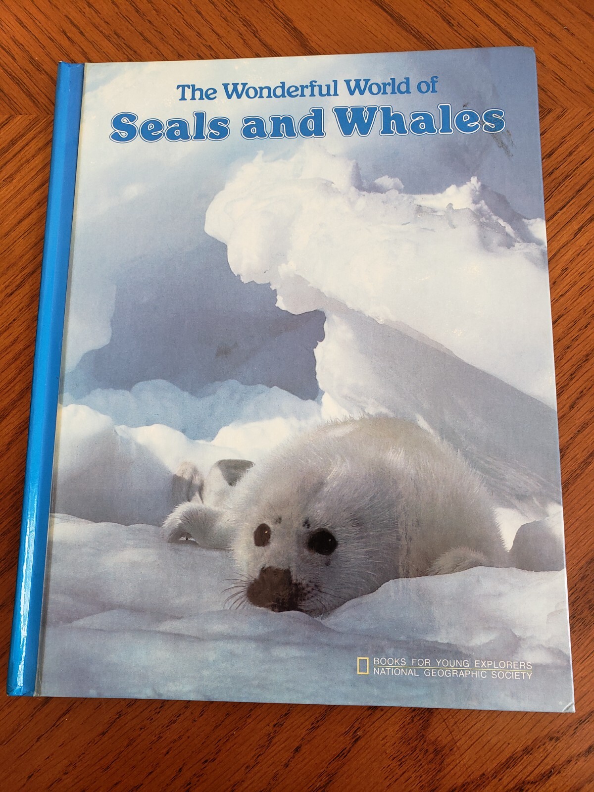 Lot of 9 Children’s books ~ Sea Animals, Wild Animals, Horses, etc