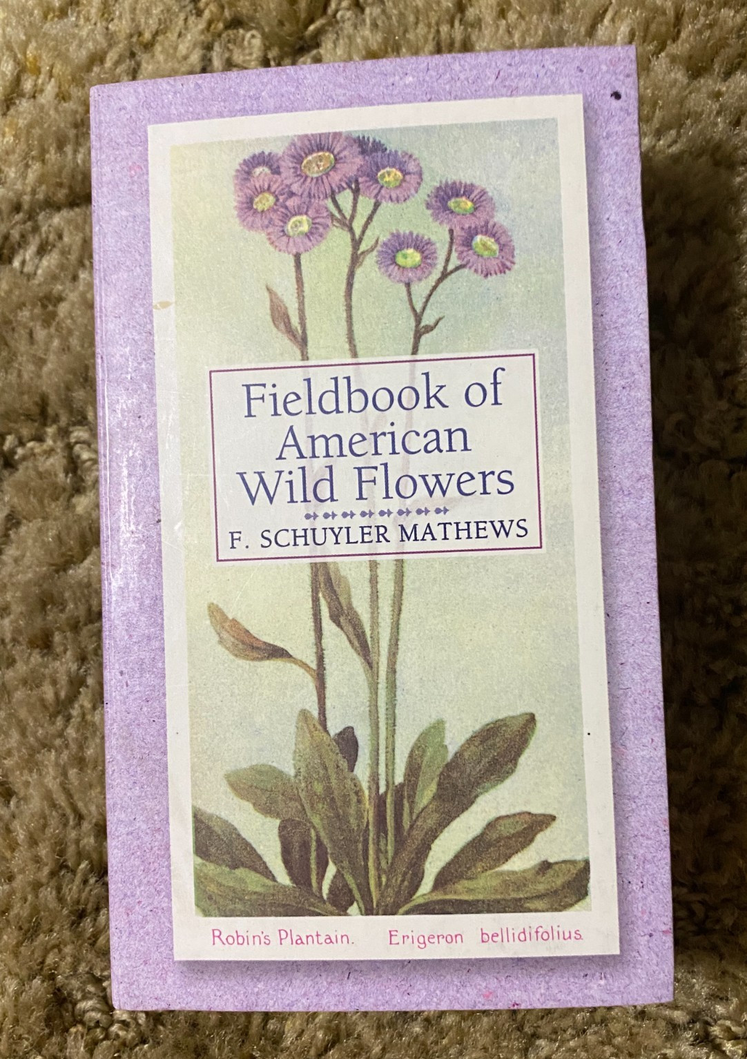 FIELDBOOK OF AMERICAN WILDFLOWERS HARDCOVER F SCHUYLER MATHEWS 2001 FACSIMILE ED