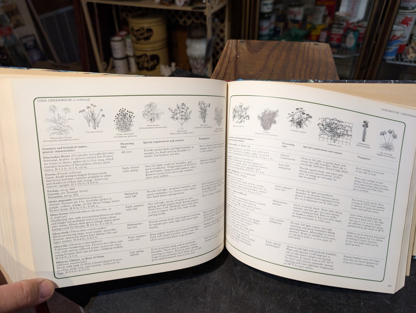 Original 1978 Reader’s Digest Illustrated Guide To Gardening 672 Pages