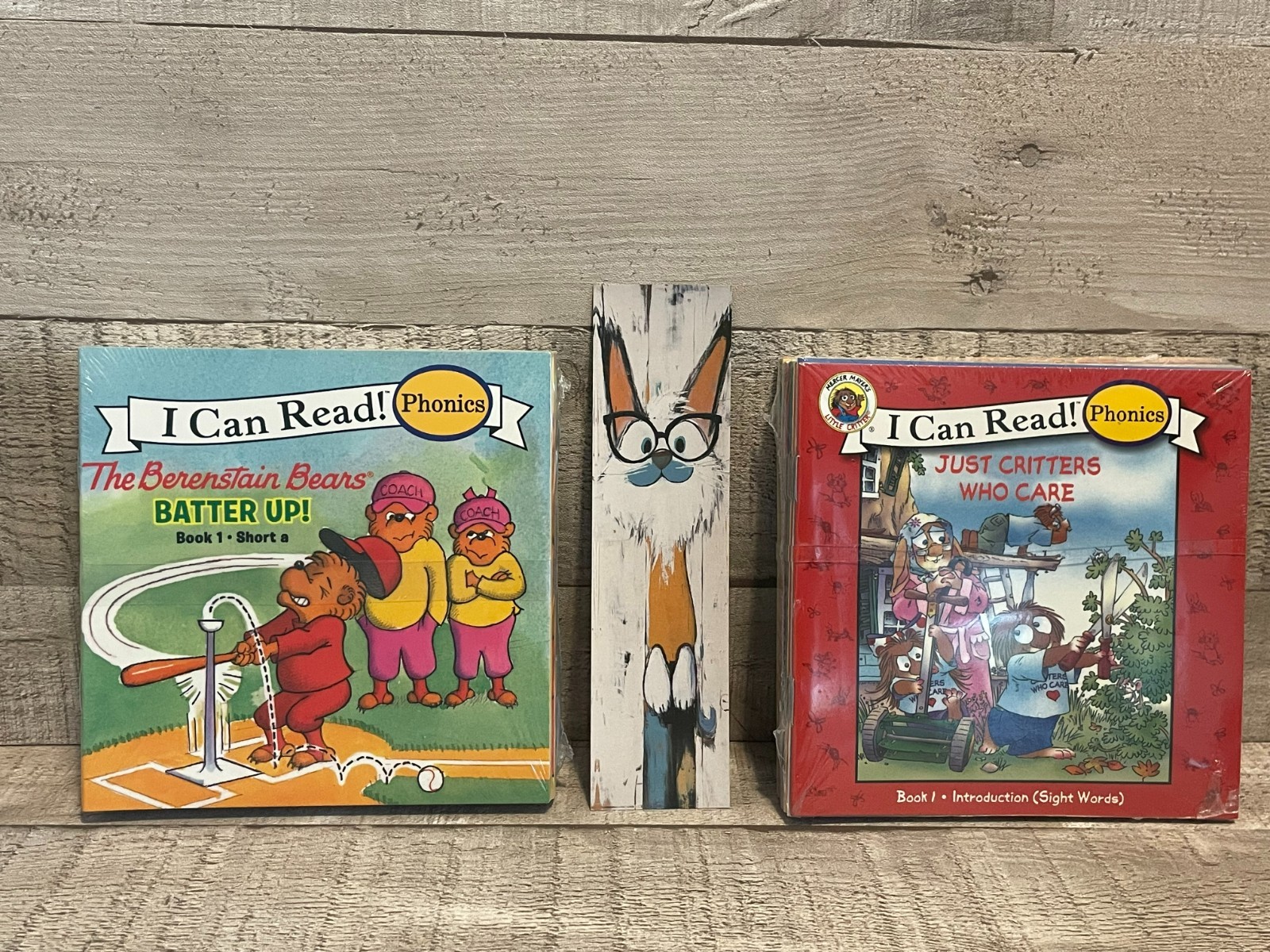 I Can Read Phonics Berenstain Bears (12) & Little Critter (12) 24 Books