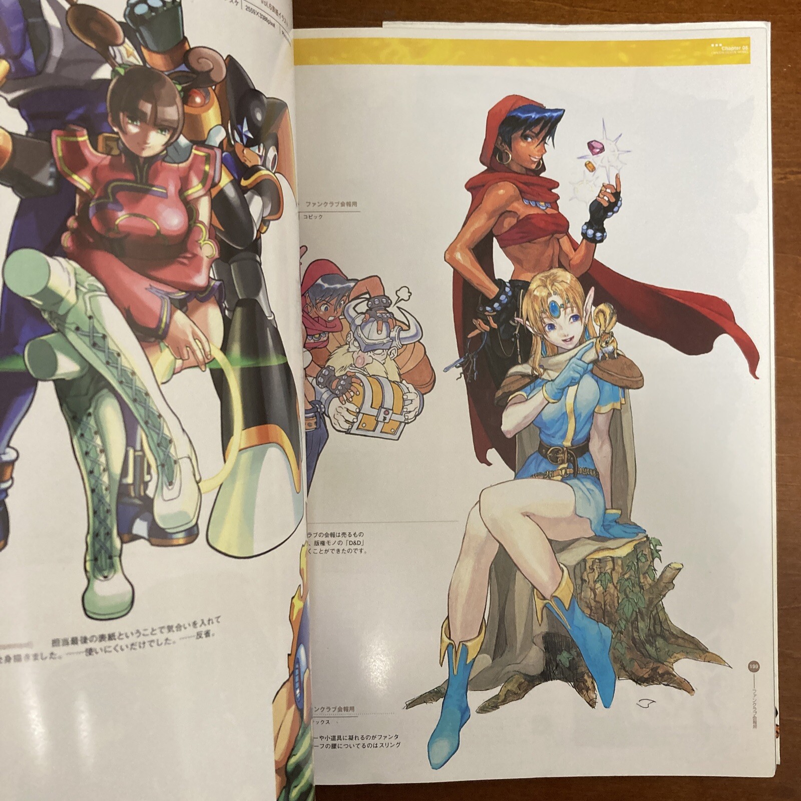 CAPCOM design WORKS Art Book Illustration