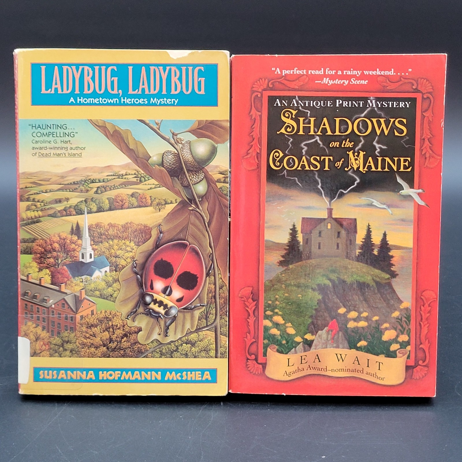 Lot of 9 Cozy Murder Mystery Novels Related to East Coast Various Titles