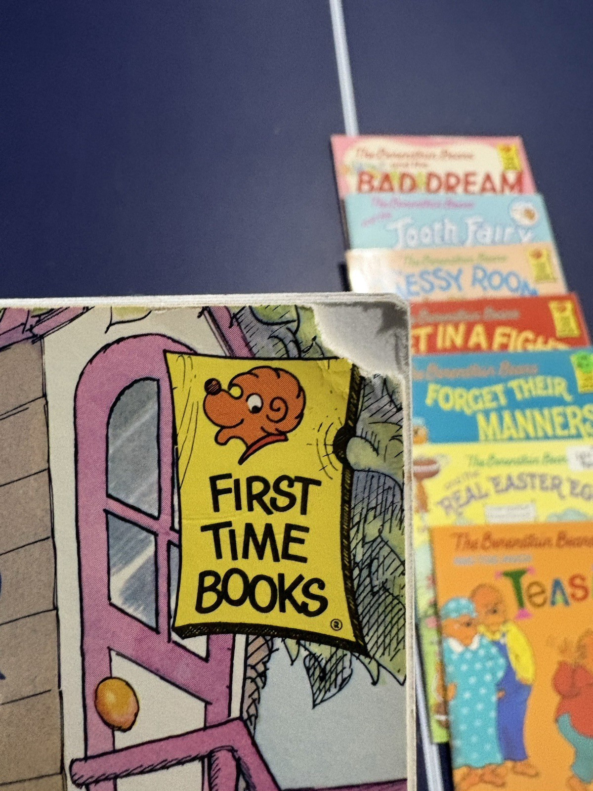 25 Berenstain Bears Books Mostly First Time by Jan Stan & Mike Berenstain No Dup