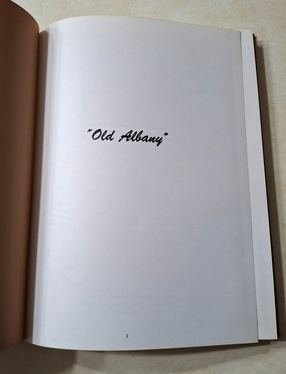 Old Albany Morris Gerber Collection Volume 1 2 3 Set Vintage NY History Photos