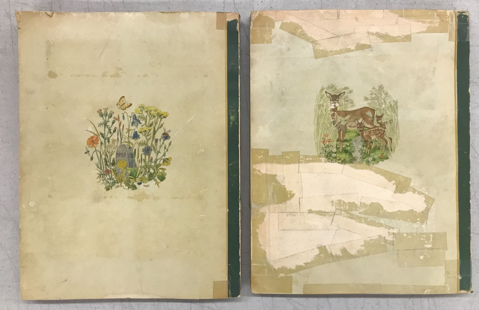 Aus Wald Und Flur – Two German Books 1937/1938 Plants and Animals, Set of 2 E-77
