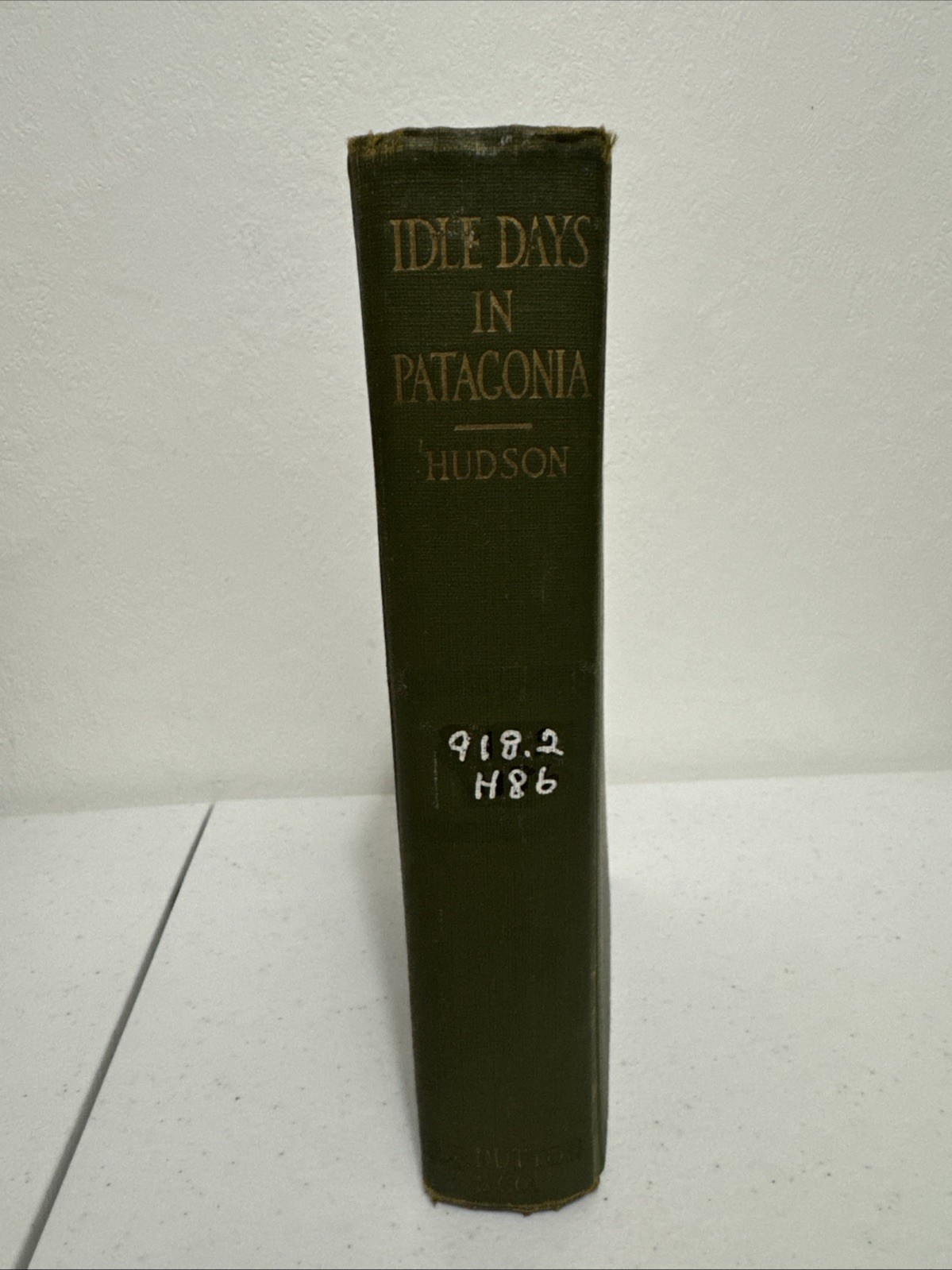 Idle Days in Patagonia by W.H. Hudson-First American Edition-1917