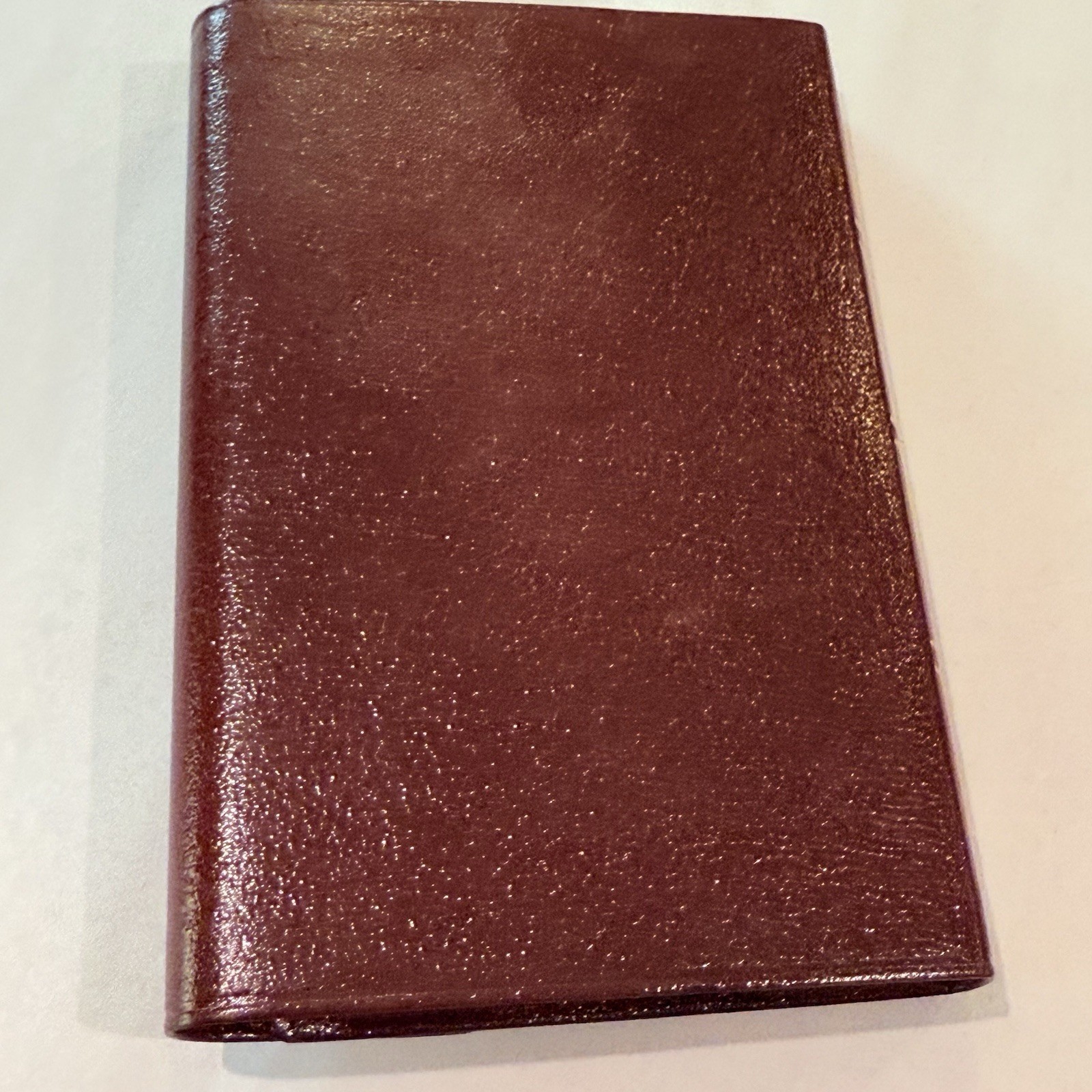 The Holman Pocket-Size Bible: New International Version : Burgundy Bonded