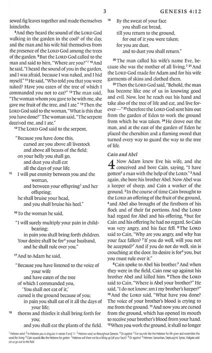 ESV Thinline Bible, Red Letter TruTone, Chocolate/Blue, Paisley Band Design SALE