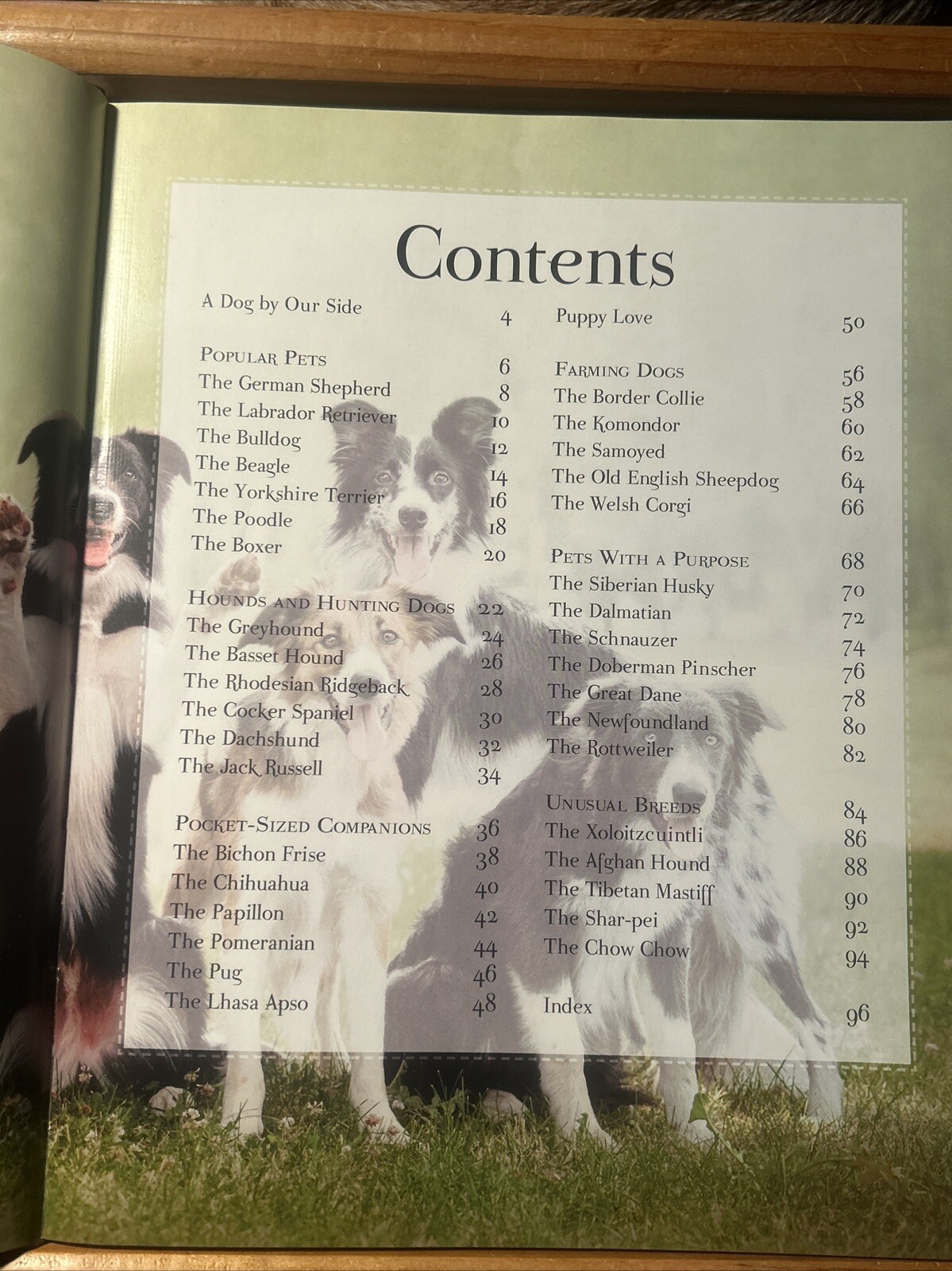 Good Dog Large 12 X 9-1/2 inch Dog Breed Picture Book w/ Center Puppy Fold Out