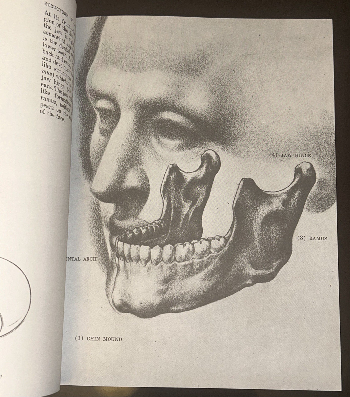 Drawing the Human Head by Burne Hogarth PB – Good
