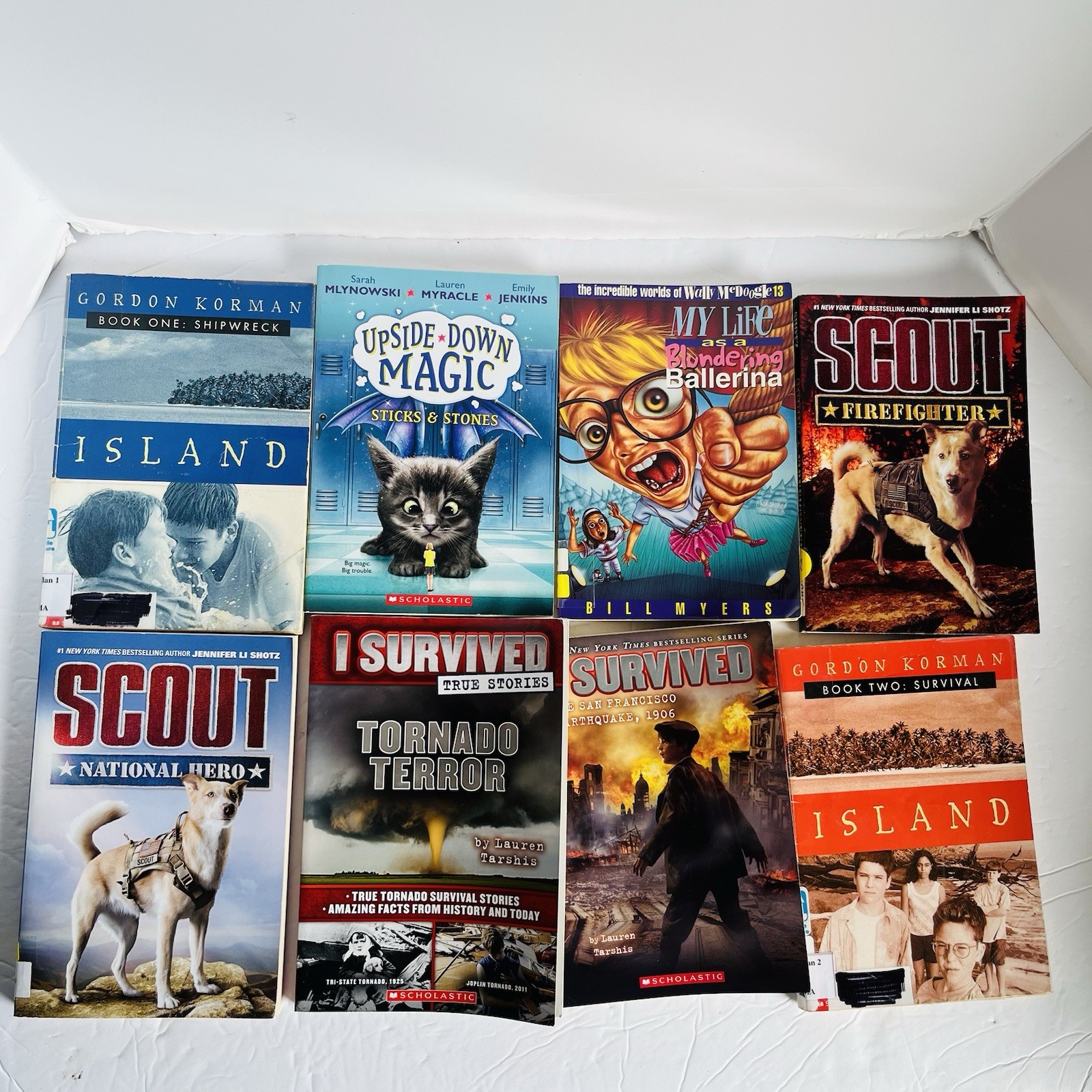 Lot of 10 Random 4th grade Children’s Kids Chapter Book Some series Elementary