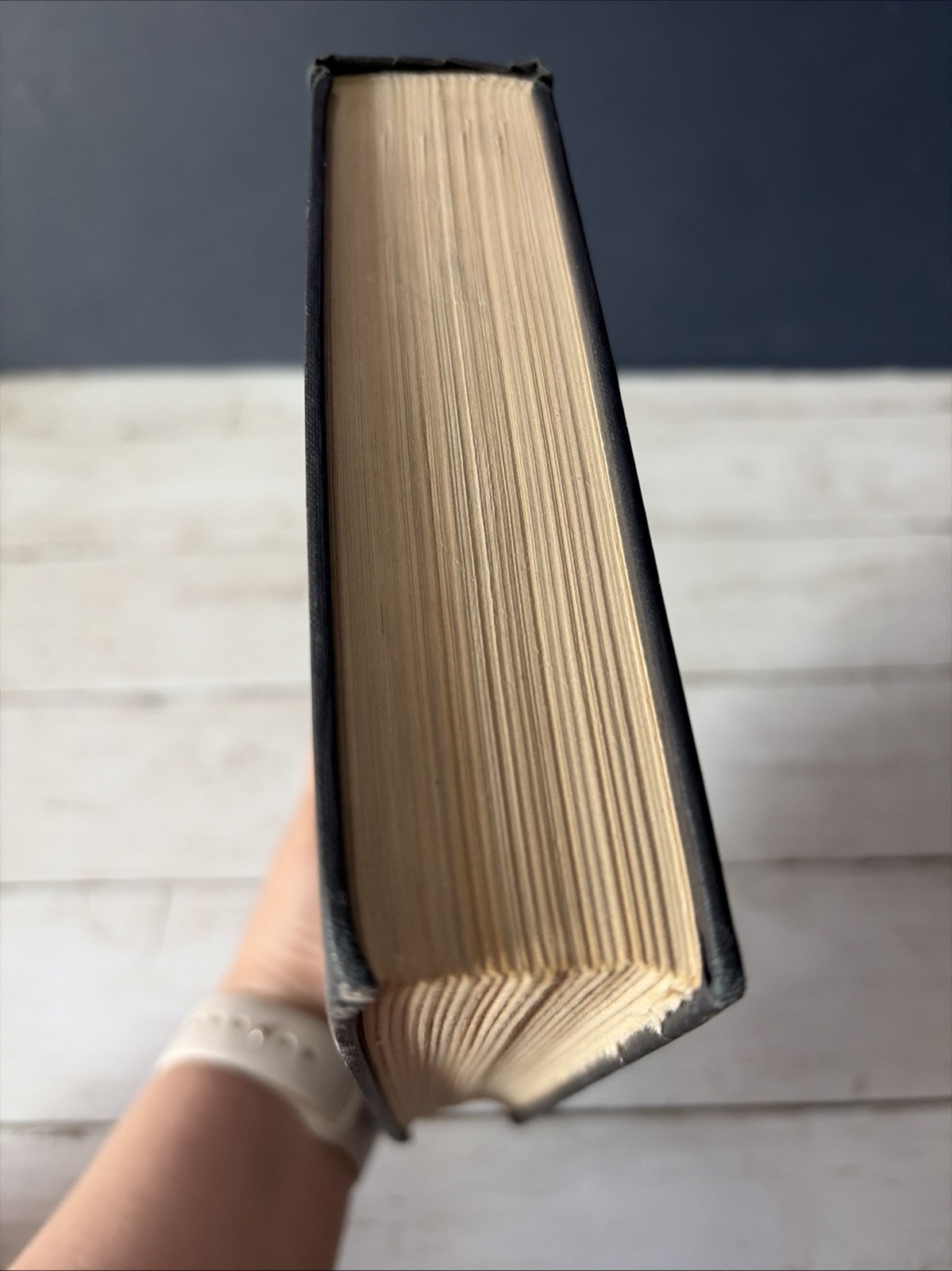 Persons In Hiding J. Edgar Hoover 1938 Little Brown True Crime Criminology Book