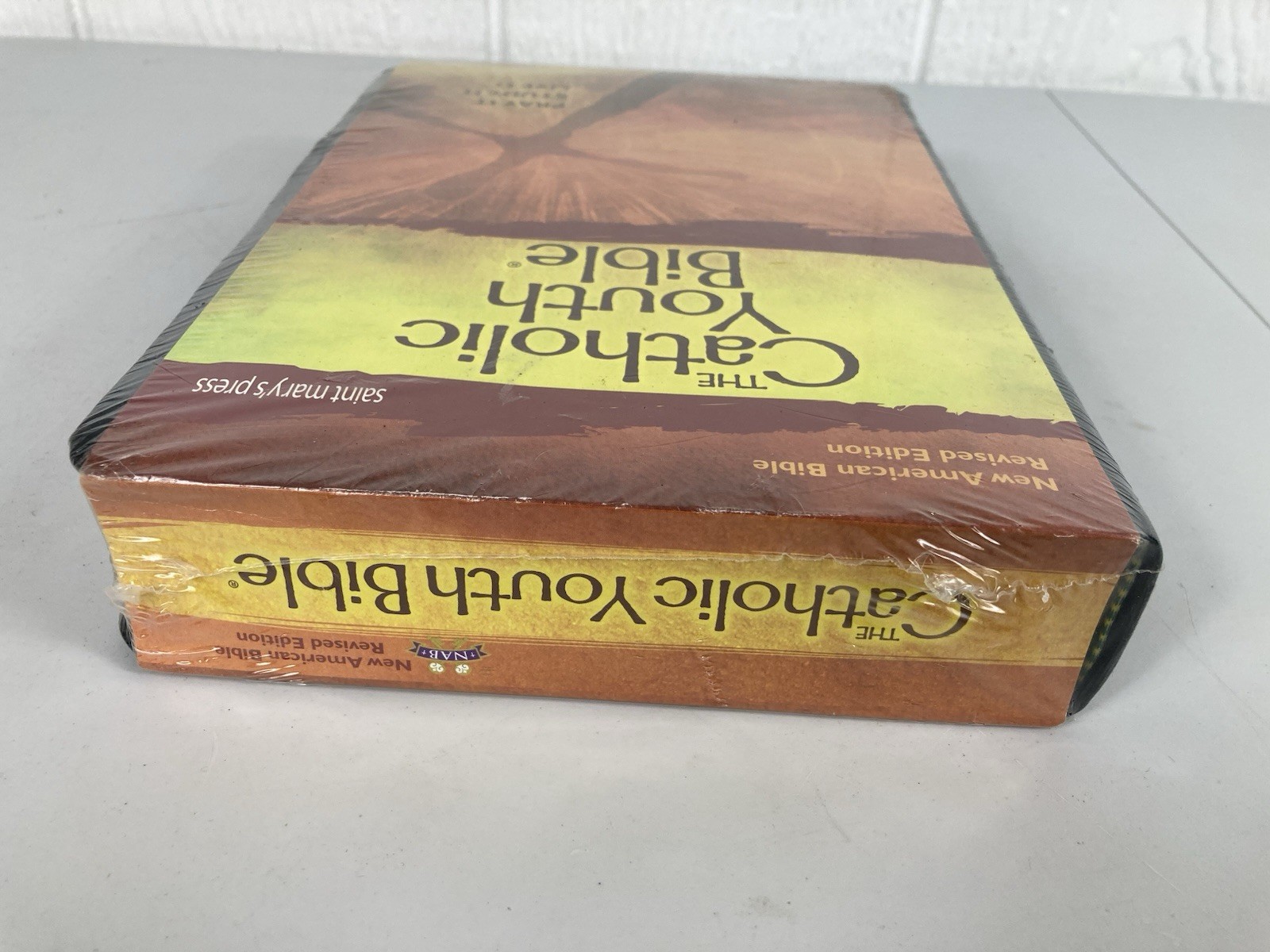 The Catholic Youth Bible Saint Mary’s Press New American Bible Revised Edition