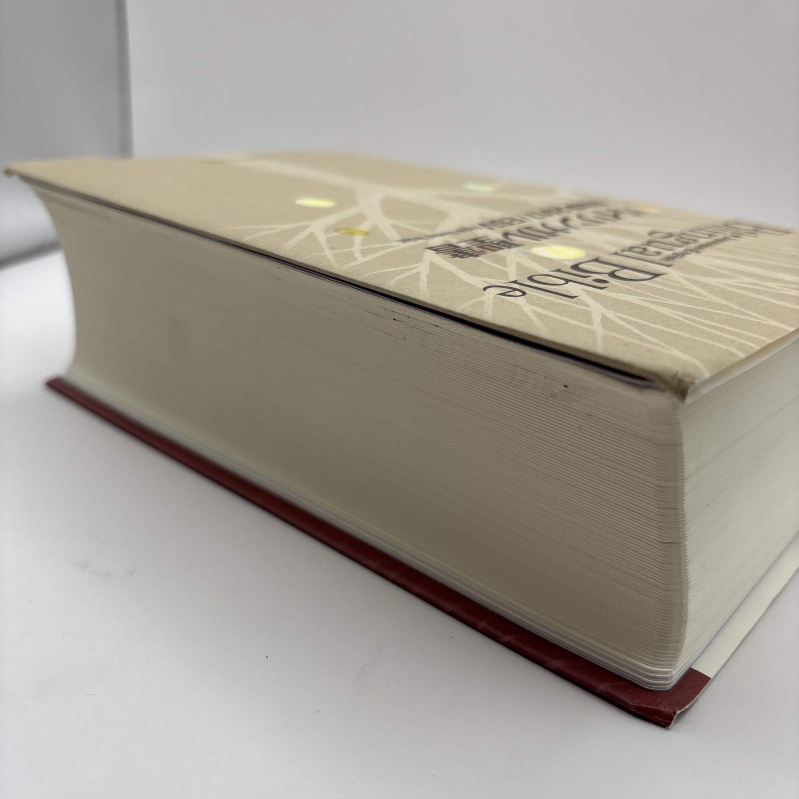 Bilingual Bible Japanese-English Old/New Testament ESV/2022 Inochi no Kotoba Sha