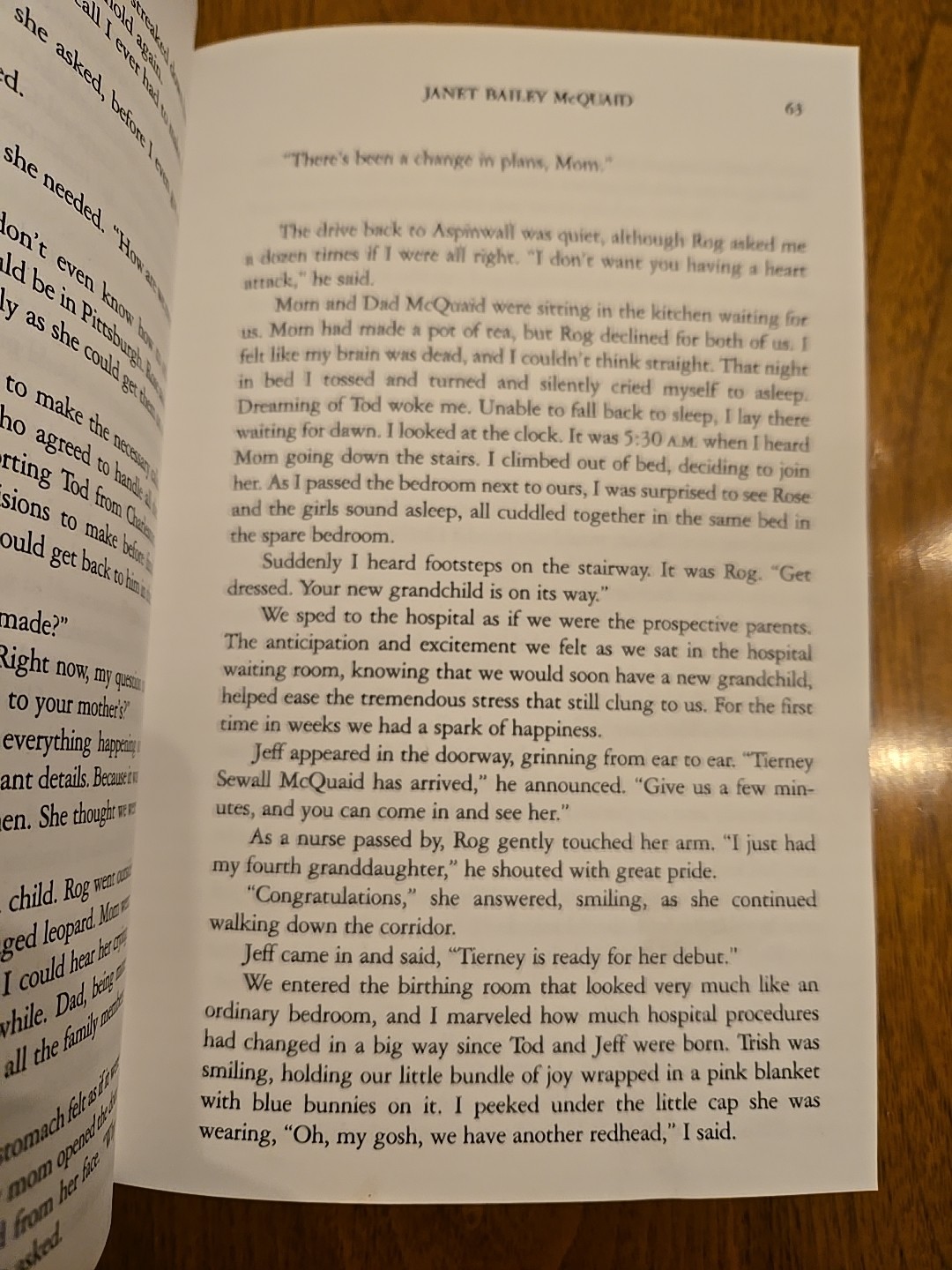 Security Breach : Murder of Tod Mcquaid by Janet McQuaid 1st edition true crime