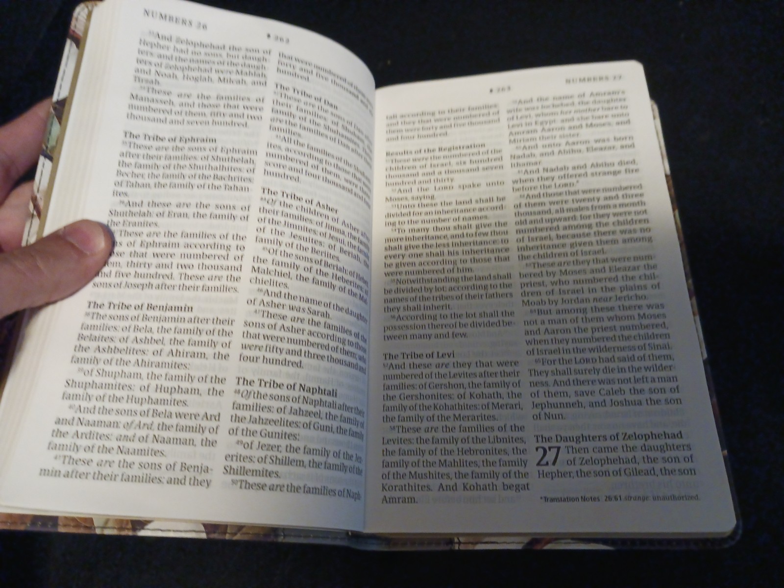 Tyndale KJV Personal Giant Print Bible Filament-Enabled Leatherlike Magnolia