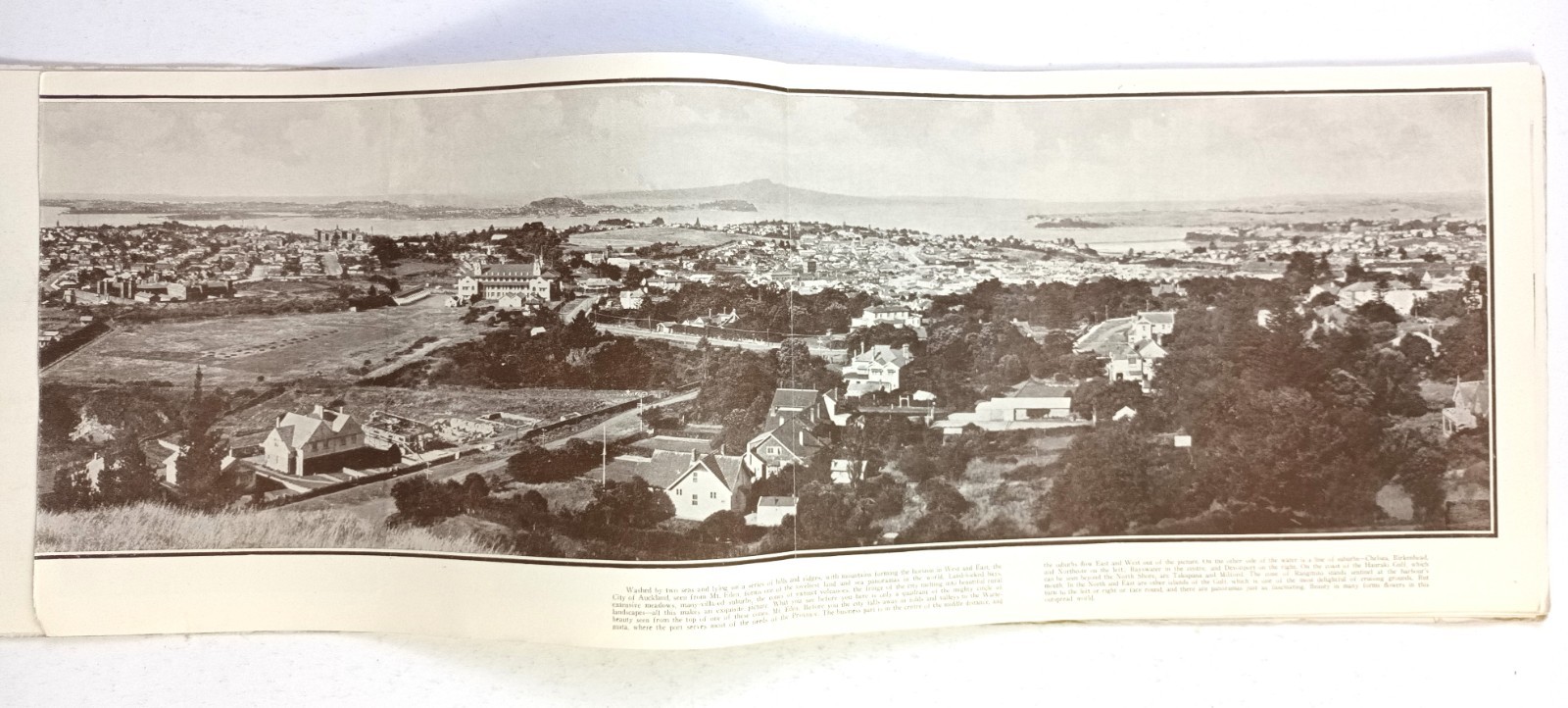 1920s Panoramic View Book Of New Zealand. 5 90x24cm Prints. Whitcombe & Tombs