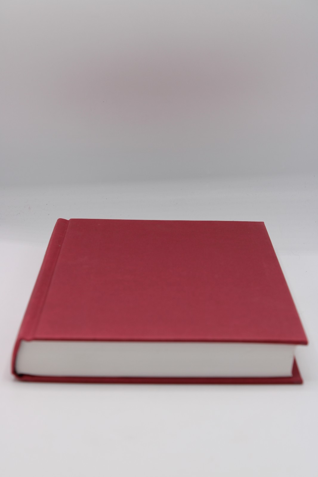 Fledgling | Octavia Butler | Seven Stories Press | 2005 | 1st Edition